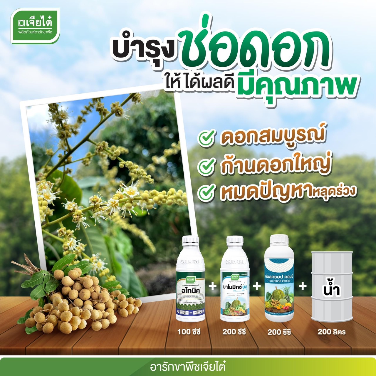 ชุด บำรุง ช่อดอก อโทนิค ขนาด 500 cc + มาโมมิกซ์ บลู ขนาด 1 ลิตร + ฟอลครอป คอมบี ขนาด1 ลิตร #ช่วยดอกสมบูรณ์ ก้านดอกใหญ่