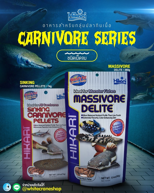 Hikari Sinking Carnivore Pellets 74 g.(อาหารปลากินเนื้อ เม็ดจมน้ำ ใช้แทนเหยื่อสด โปรตีนสูง)