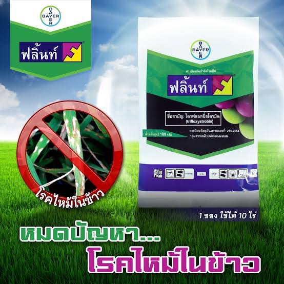 ฟลิ้นท์ (Flint®) ขนาด 100 กรัม สารสามัญ : ไตรฟลอกซีสโตรบิน(trifloxystrobin) 50 % WG สารป้องกันและกำจัดโรคในพืชต่างๆ
