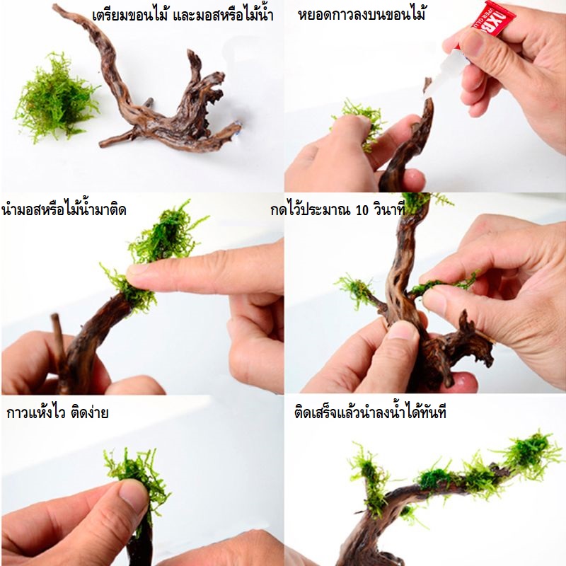 AQUA WORLD AQUARIUM ADHESIVE 5g.(กาวติดไม้น้ำ มอส ปะการัง ขอนไม้ หิน เจลใส ติดง่าย แห้งไว ติดใต้น้ำได้ ปลอดภัยต่อปลา)