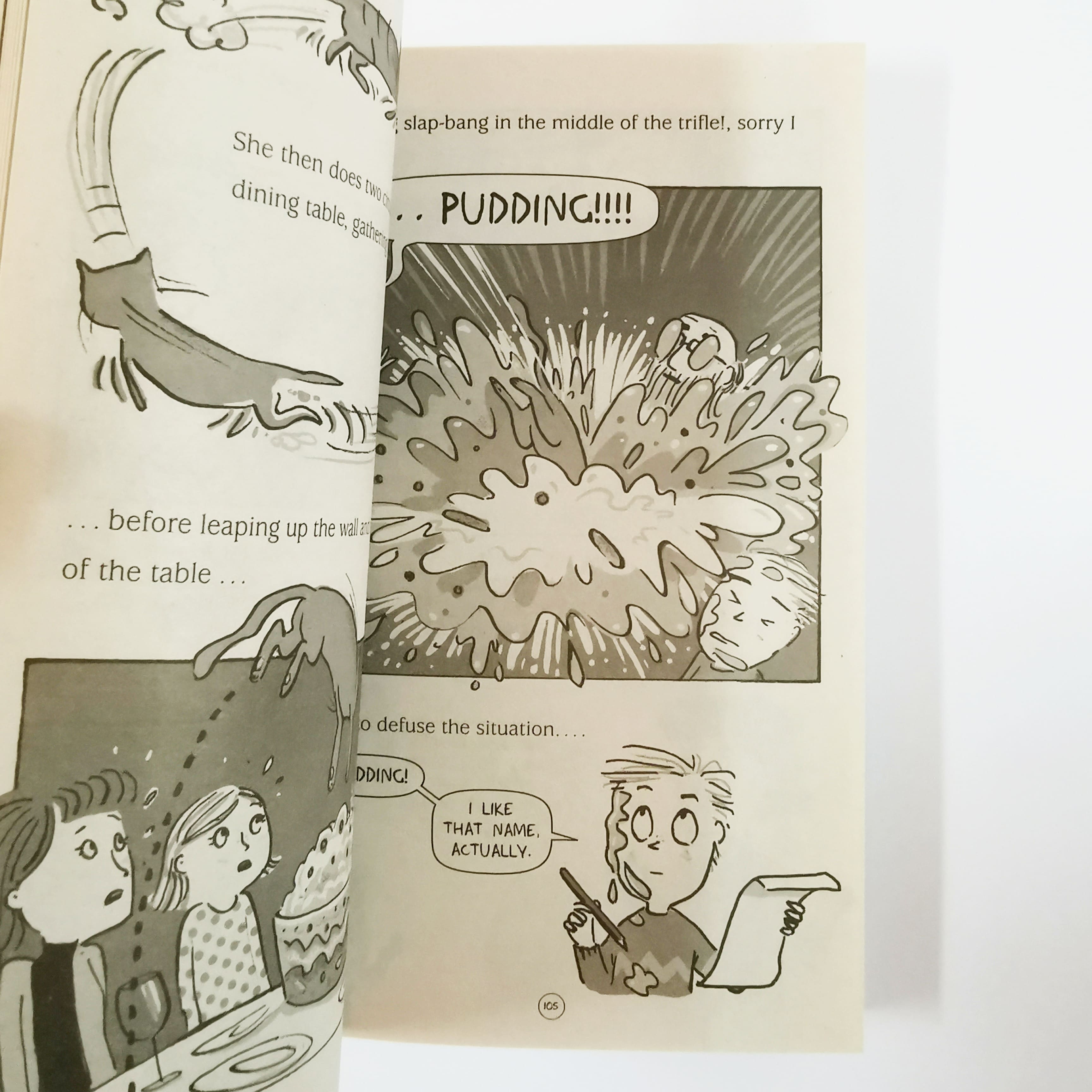 The Pudding Problem #1 (Lyttle Lies)