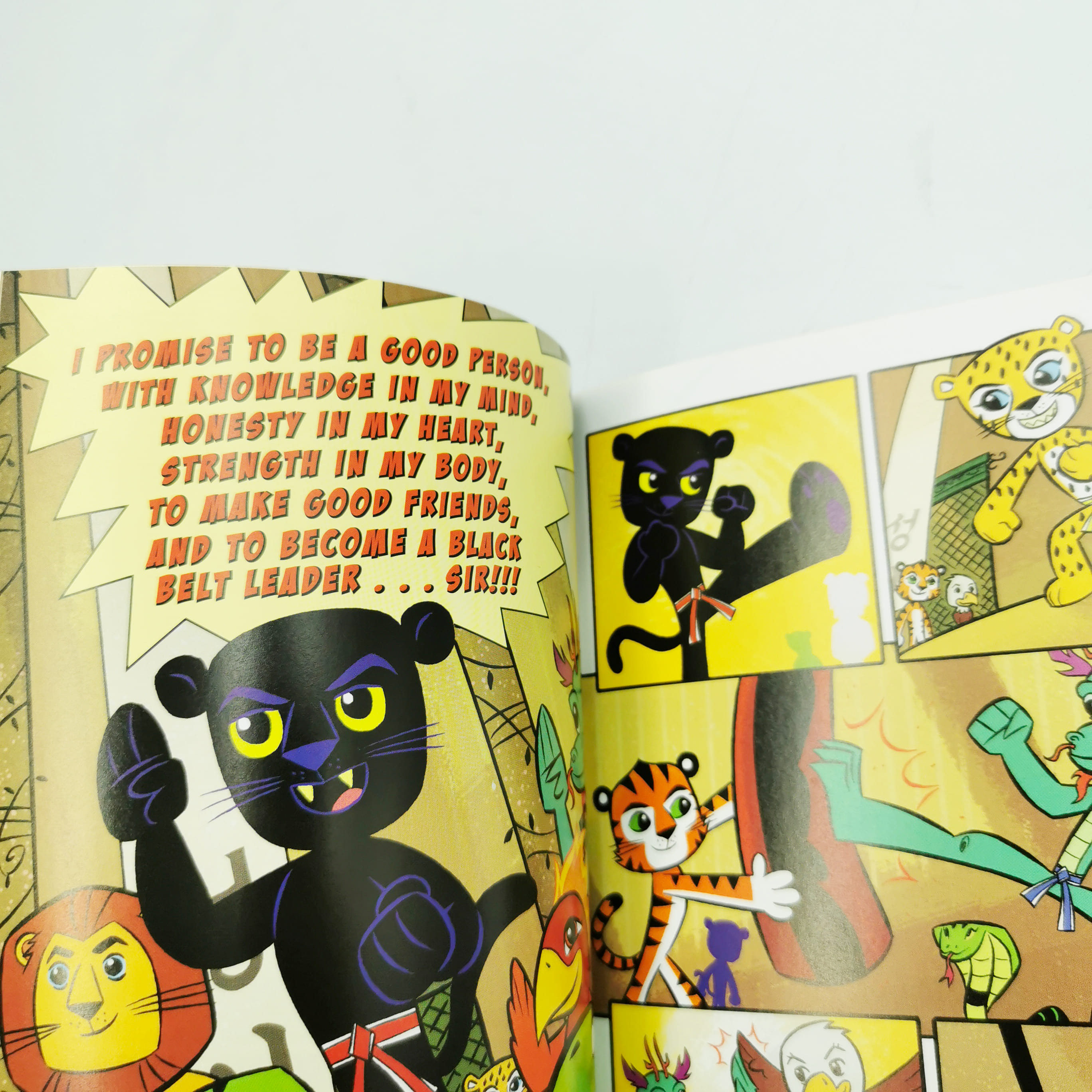 Ara's Rocky Road to White Belt (Team Taekwondo)