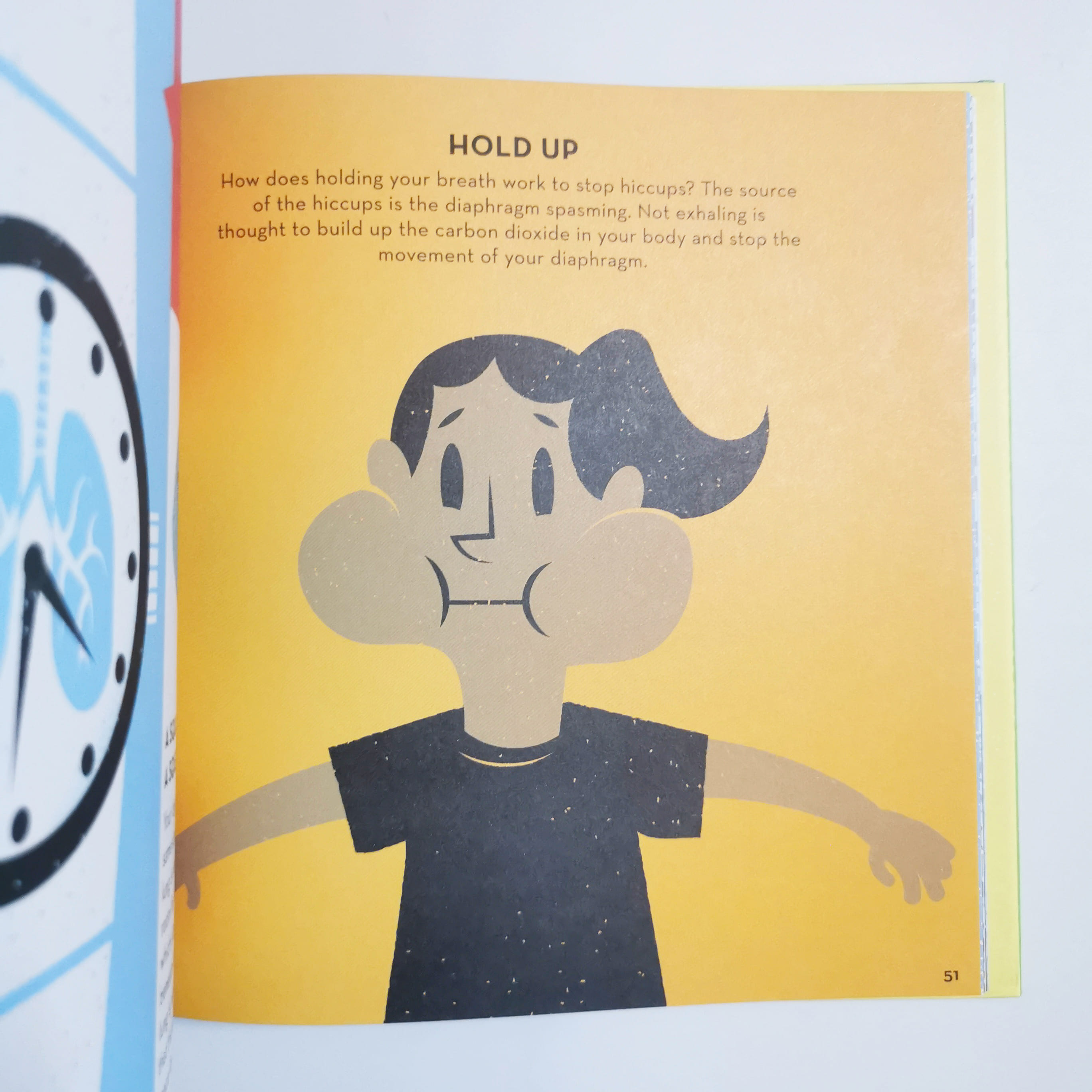 Human Body (Volume 2) (Odd Science)