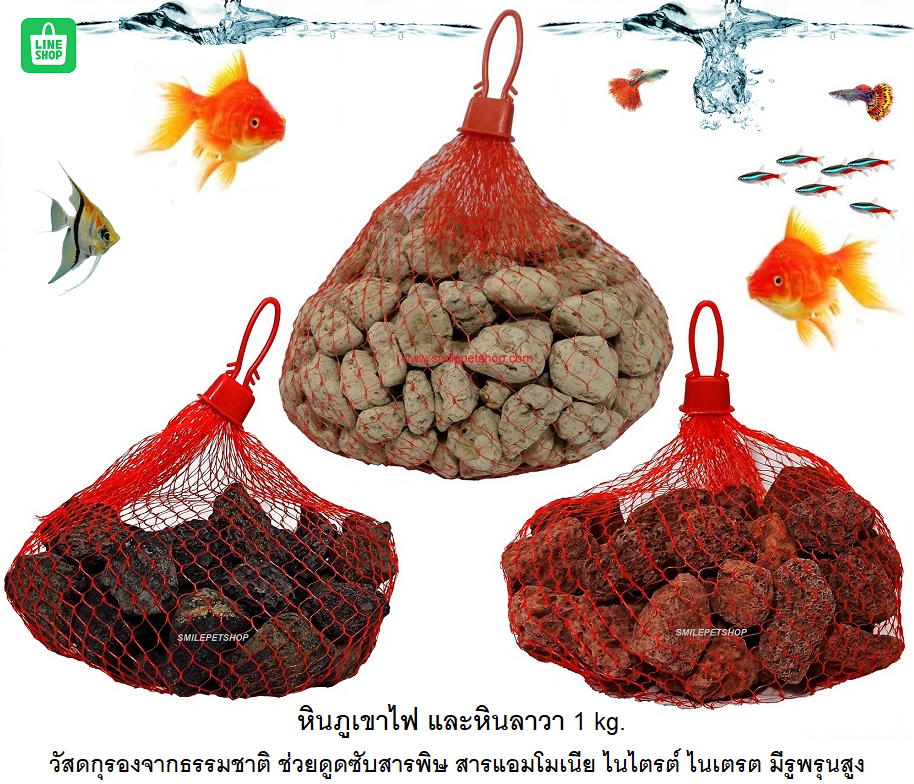หินภูเขาไฟ และหินลาวา 1 kg.(วัสดุกรองจากธรรมชาติ ดูดซับสารพิษ แอมโมเนีย ไนไตรต์ ไนเตรต มีรูพรุนสูง)