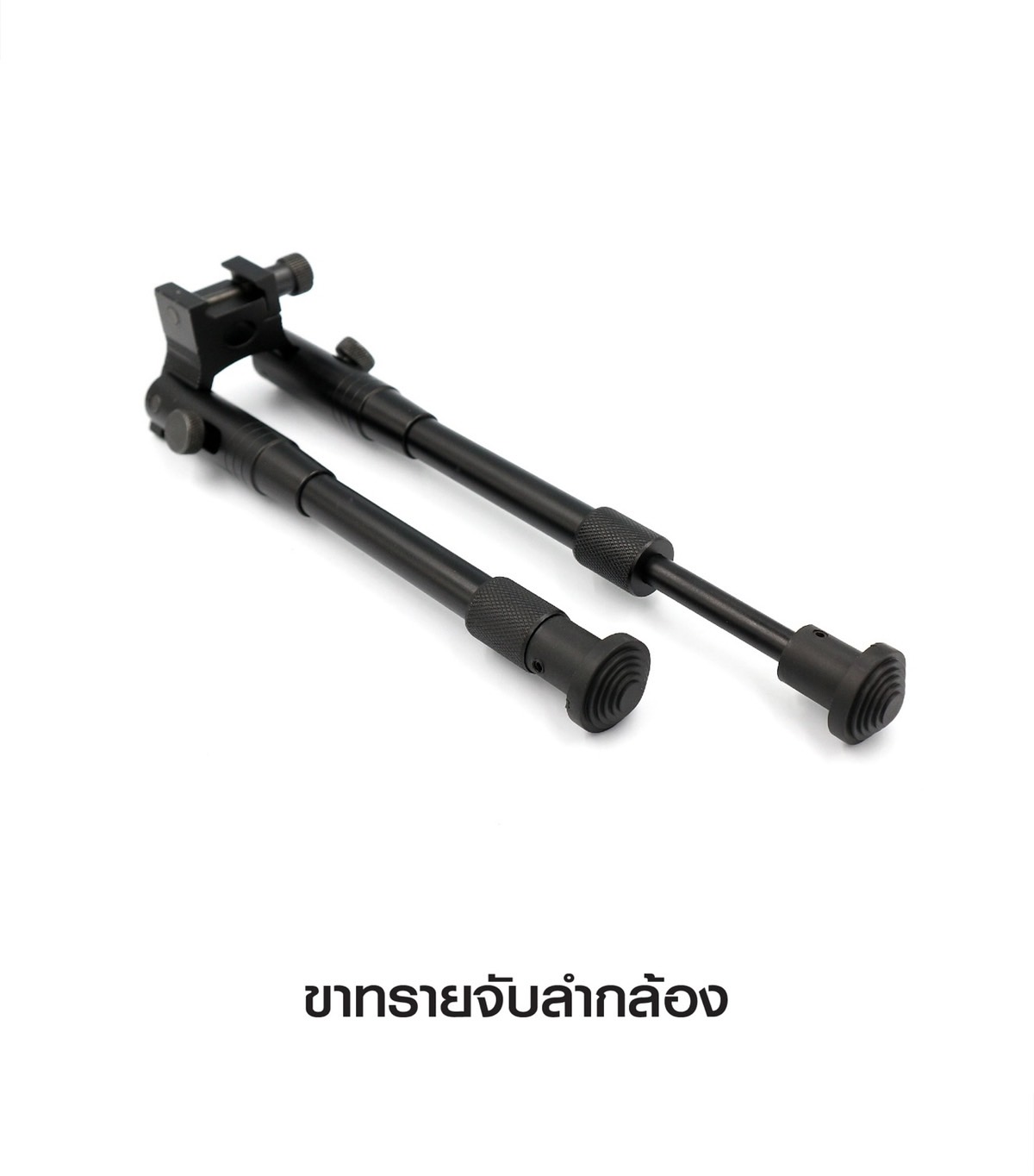 ขาทรายจับลำกล้อง