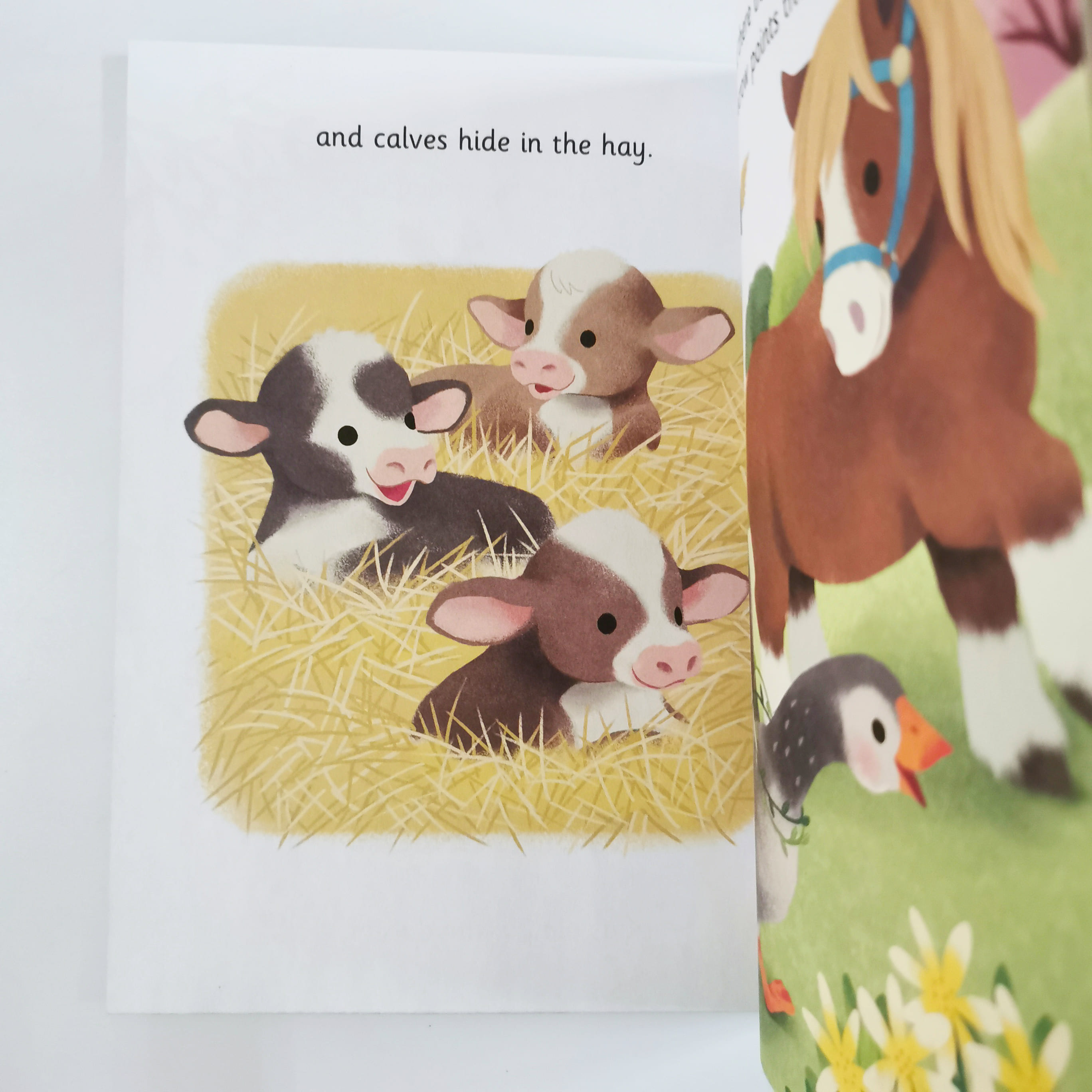 Springtime Babies (LGB)