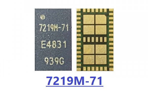 IC 7219M-71