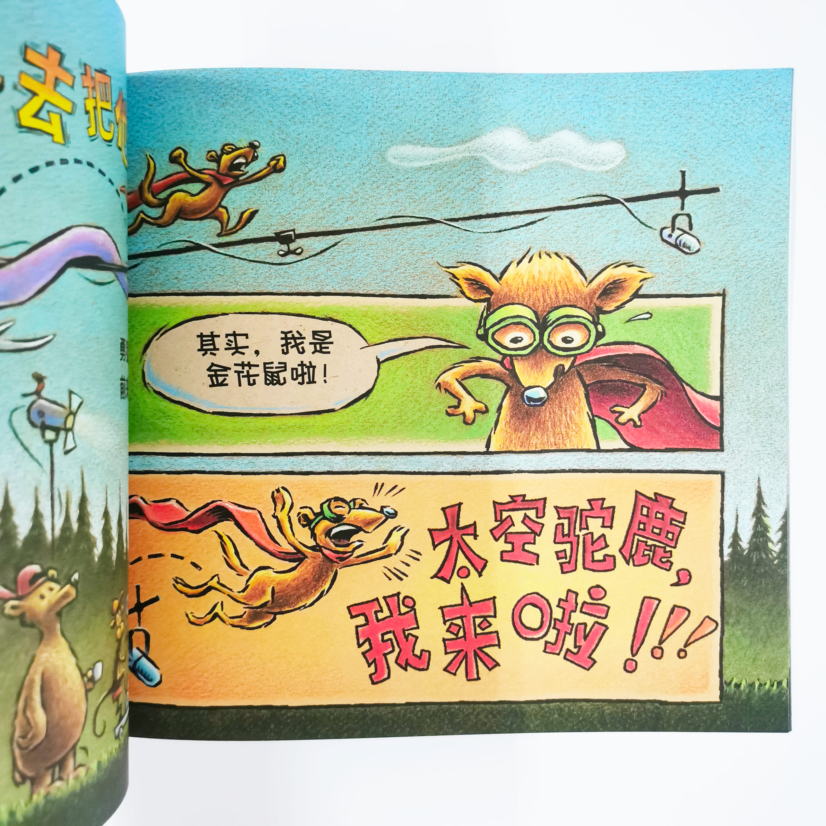 这是一头驼鹿 This is a Moose