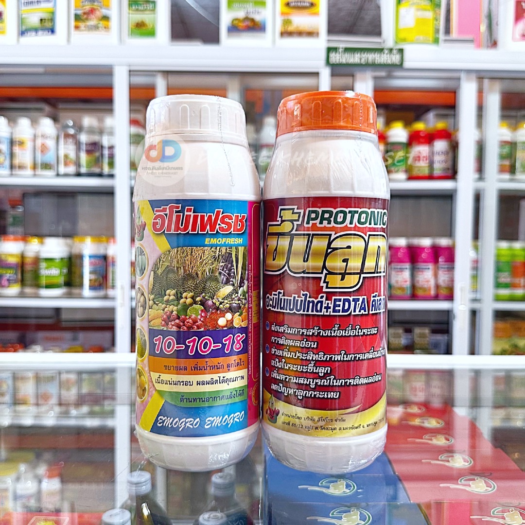 (ชุด2ขวด) ปุ๋ยน้ำ 10-10-18+โปรโตรนิก (Protonic)-ขึ้นลูก ขนาด 1 ลิตร ขยายผล เพิ่มน้ำหนัก เนื้อแน่นกรอบ