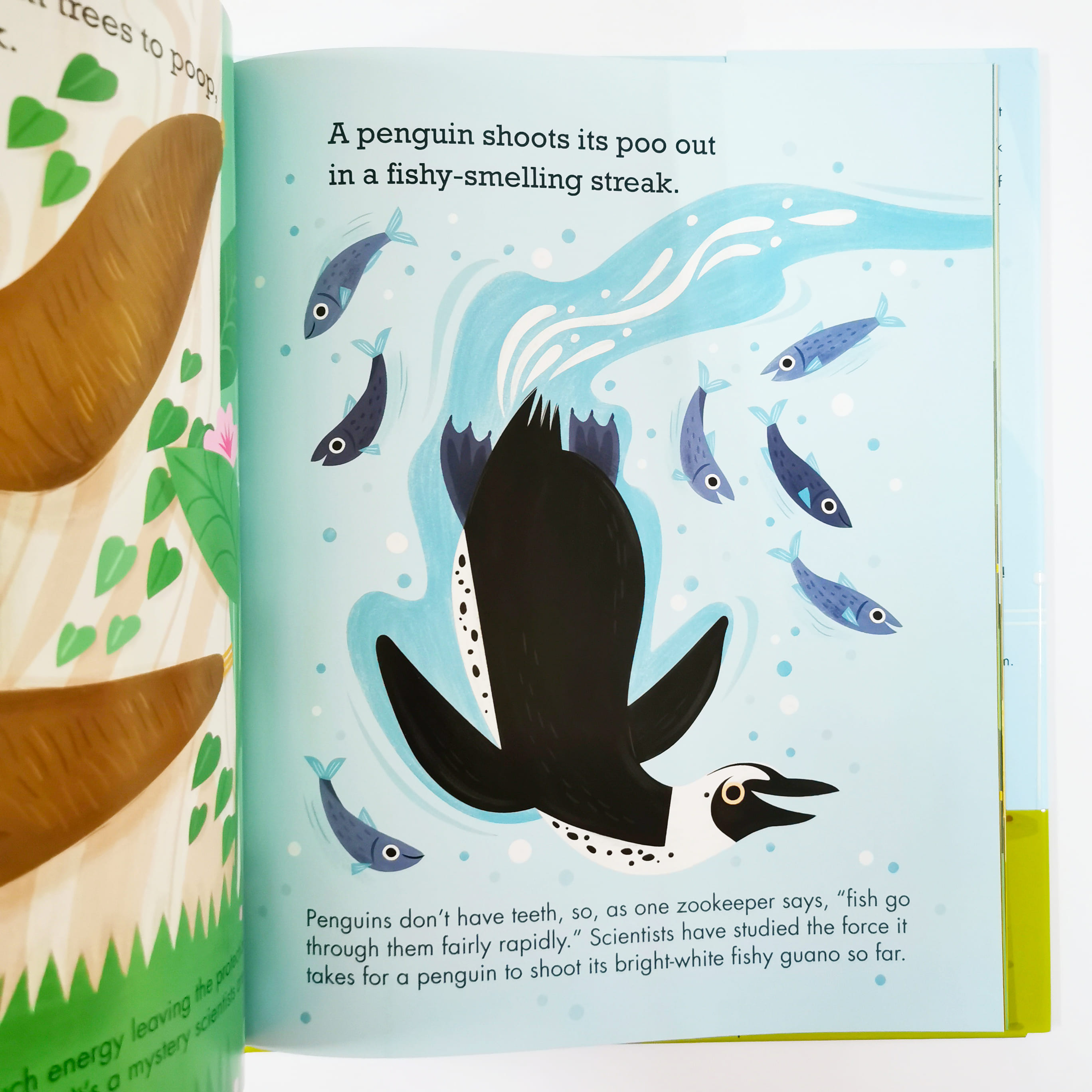 What Do They Do with All That Poo?