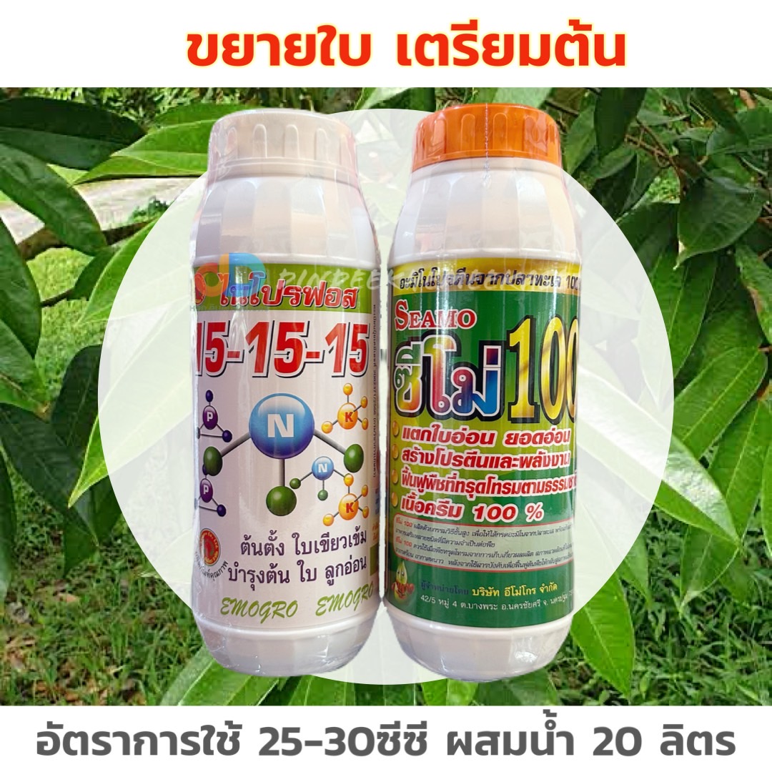 ชุด ขยายใบ เตรียมต้น 15-15-15 ขนาด 1 ลิตร+ ซีโม่ 100 ขนาด 1 ลิตร ใช้บำรุงพืช ช่วยขยายใบ บำรุงต้น