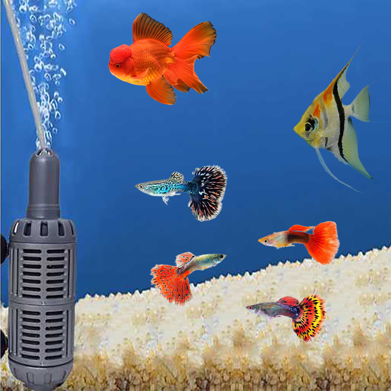 TIP กรองโปรติดผนัง 2 ชั้น (สำหรับต่อกับปั๊มลม ช่วยกรองน้ำให้ใสสะอาด)