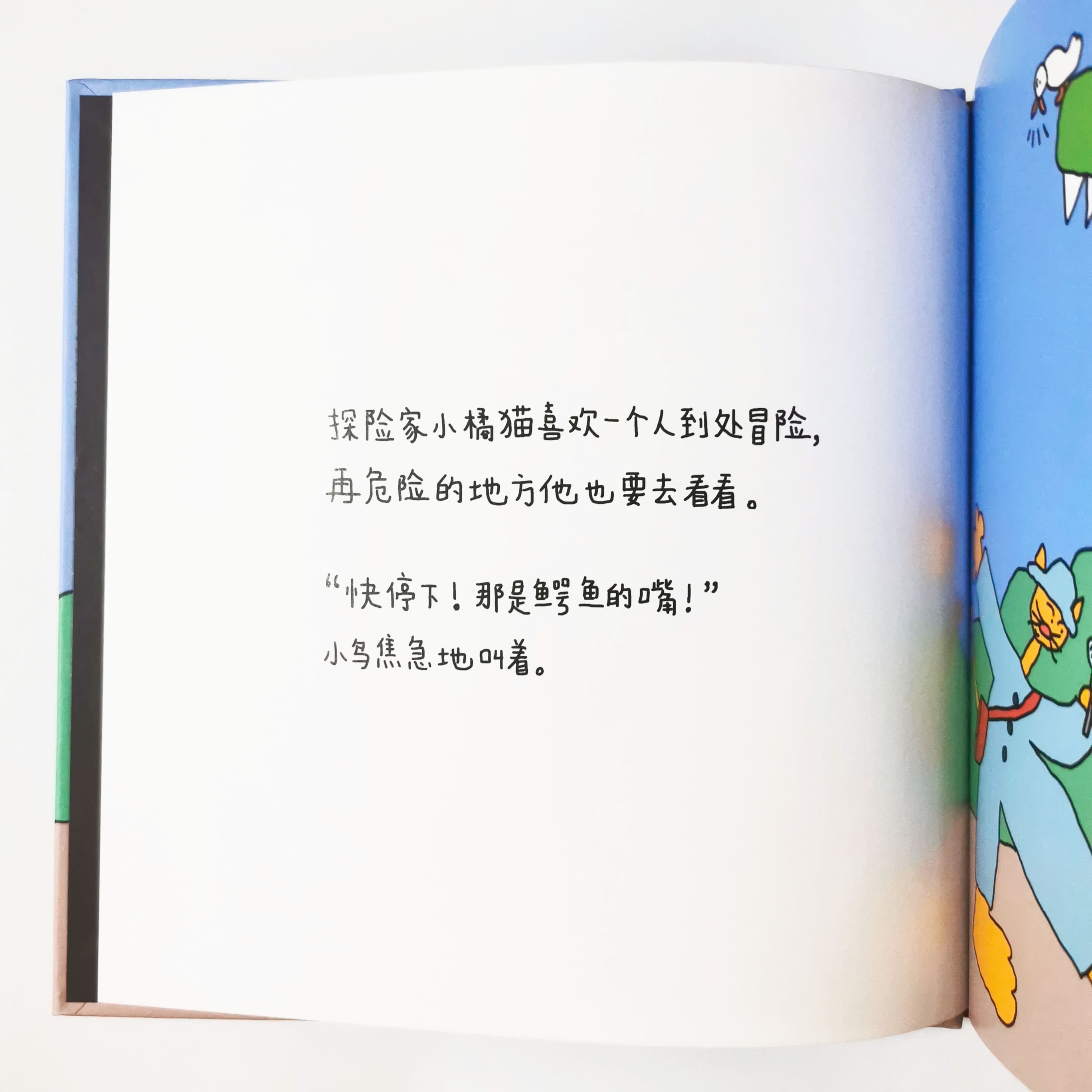 探险家 The Explorer