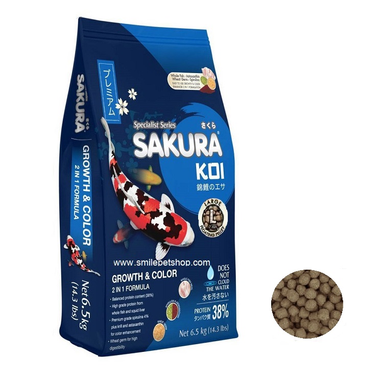 SAKURA KOI Growth&Color 6.5 kg. (อาหารปลาคาร์พสูตร เร่งโตและเร่งสี)