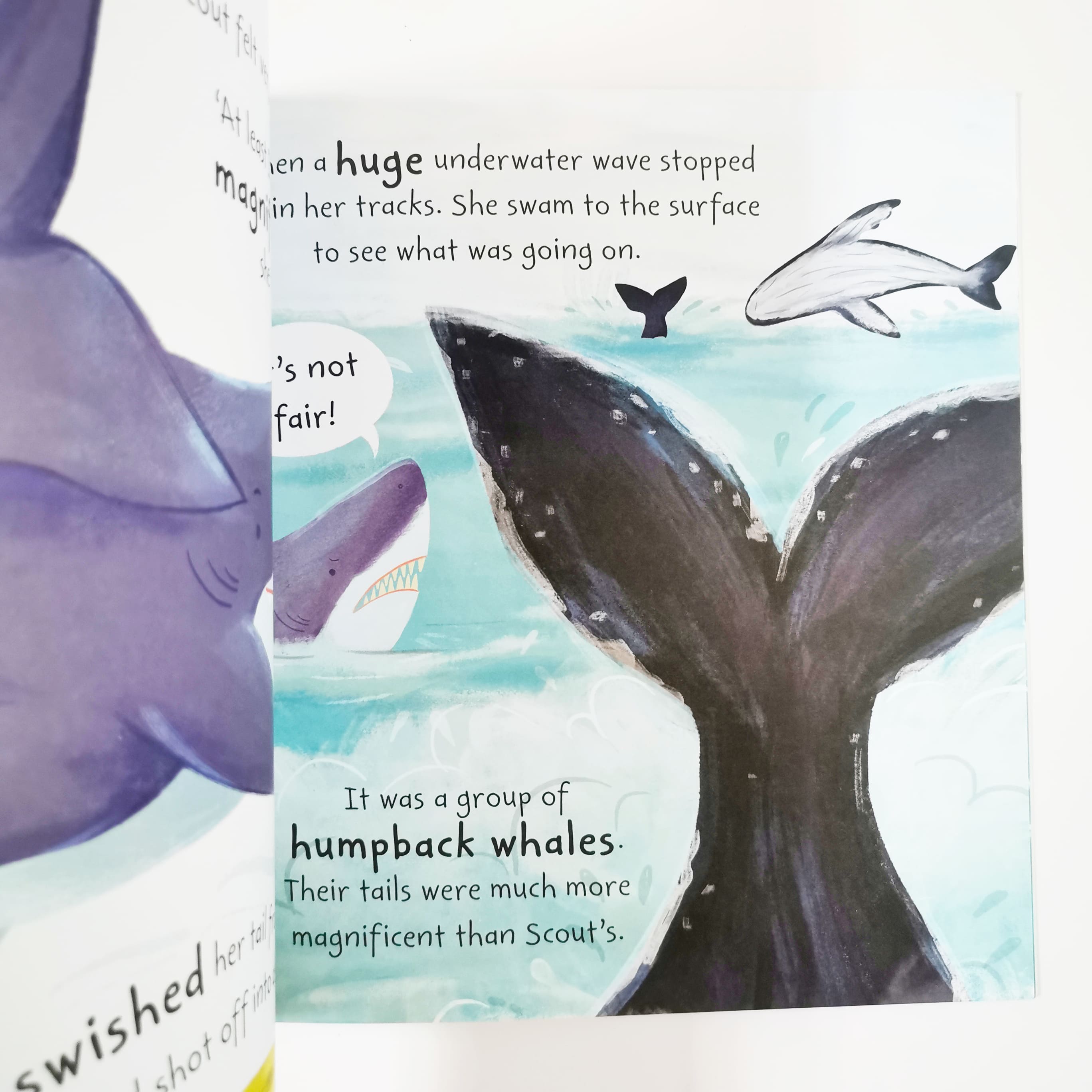 Scout the Shark (Stories from the Sea)