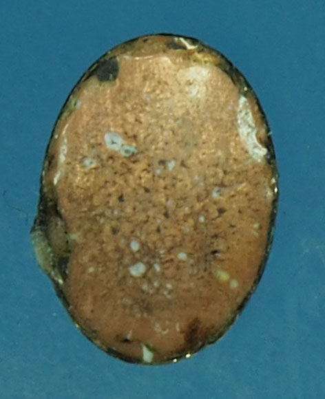 A113 ล็อกเก็ตหลวงปู่แหวนสุจิณโณ วัดดอยแม่ปั่ง เชียงใหม่ (ฉากขาว) 31