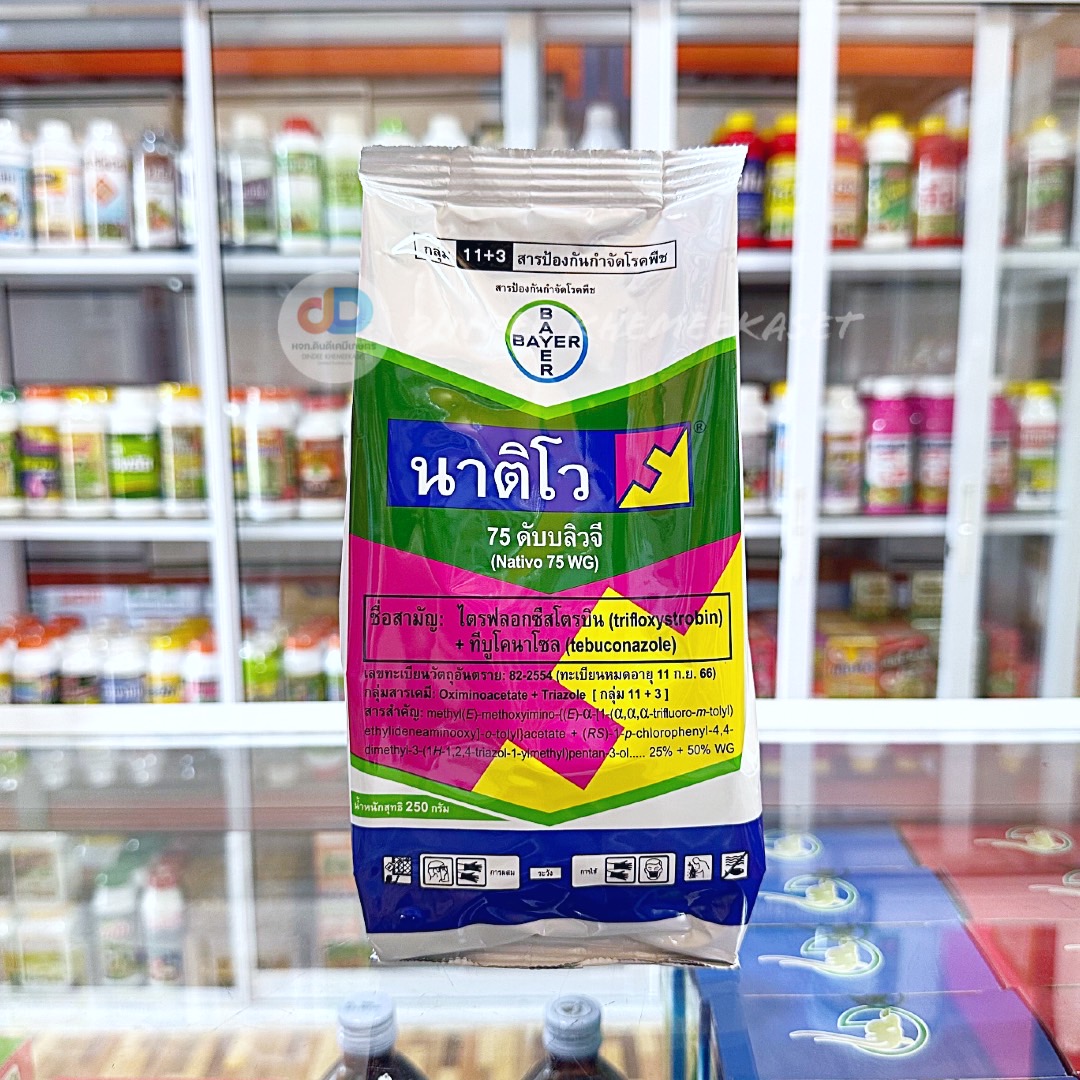 นาติโว ® 75 ดับบลิวจี ® (Nativo ® 75 WG) ชื่อสามัญ: ทีบูโคนาโซล (tebuconazole ) + ไตรฟลอกซีสโตรบิน (trifloxystrobin)