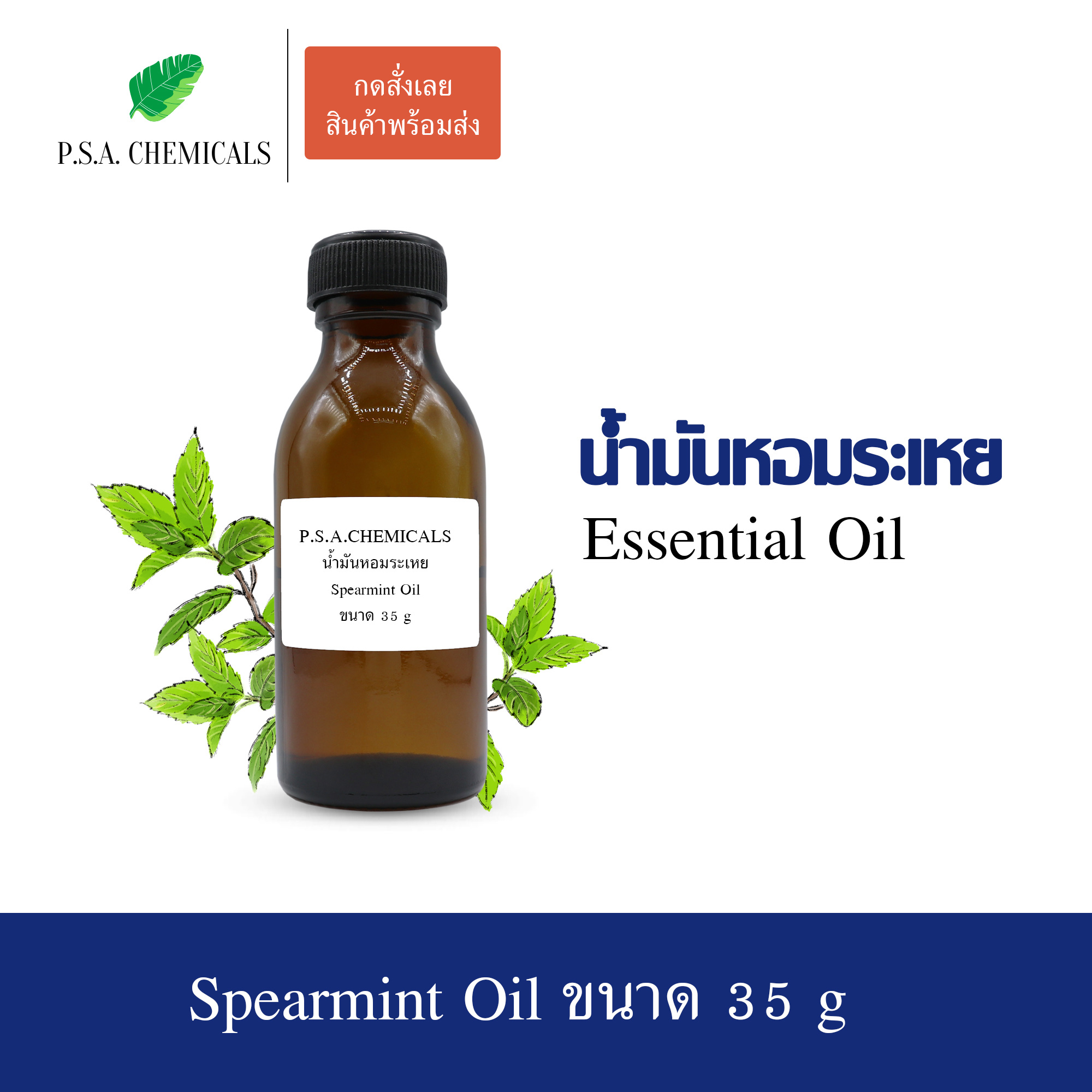 น้ำมันหอมระเหยสเปียร์มินต์ (Spearmint Essential Oil) ขนาด 35 g ใช้กับเครื่องพ่นอโรม่า เตาอโรม่า
