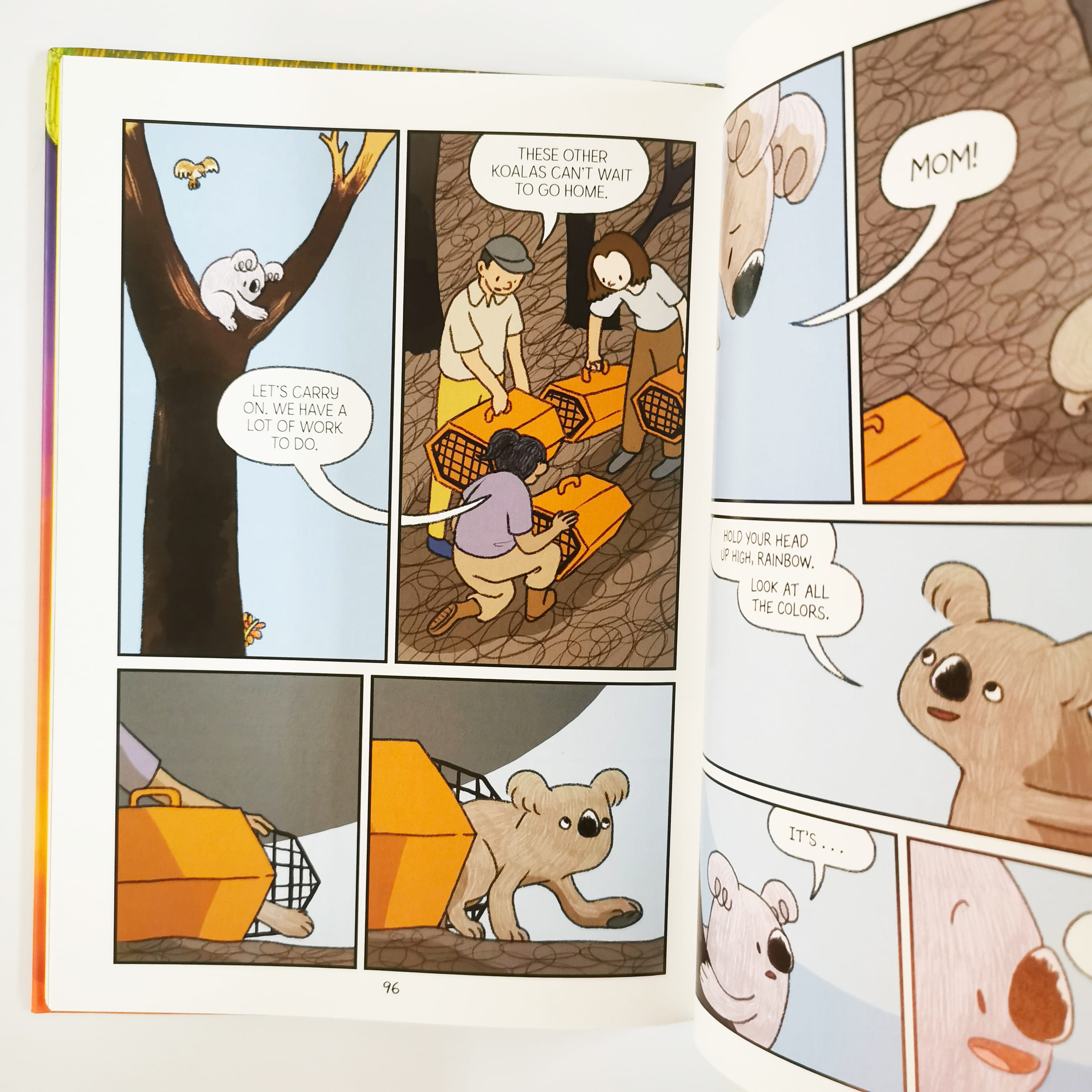 Rainbow the Koala (Surviving the Wild)