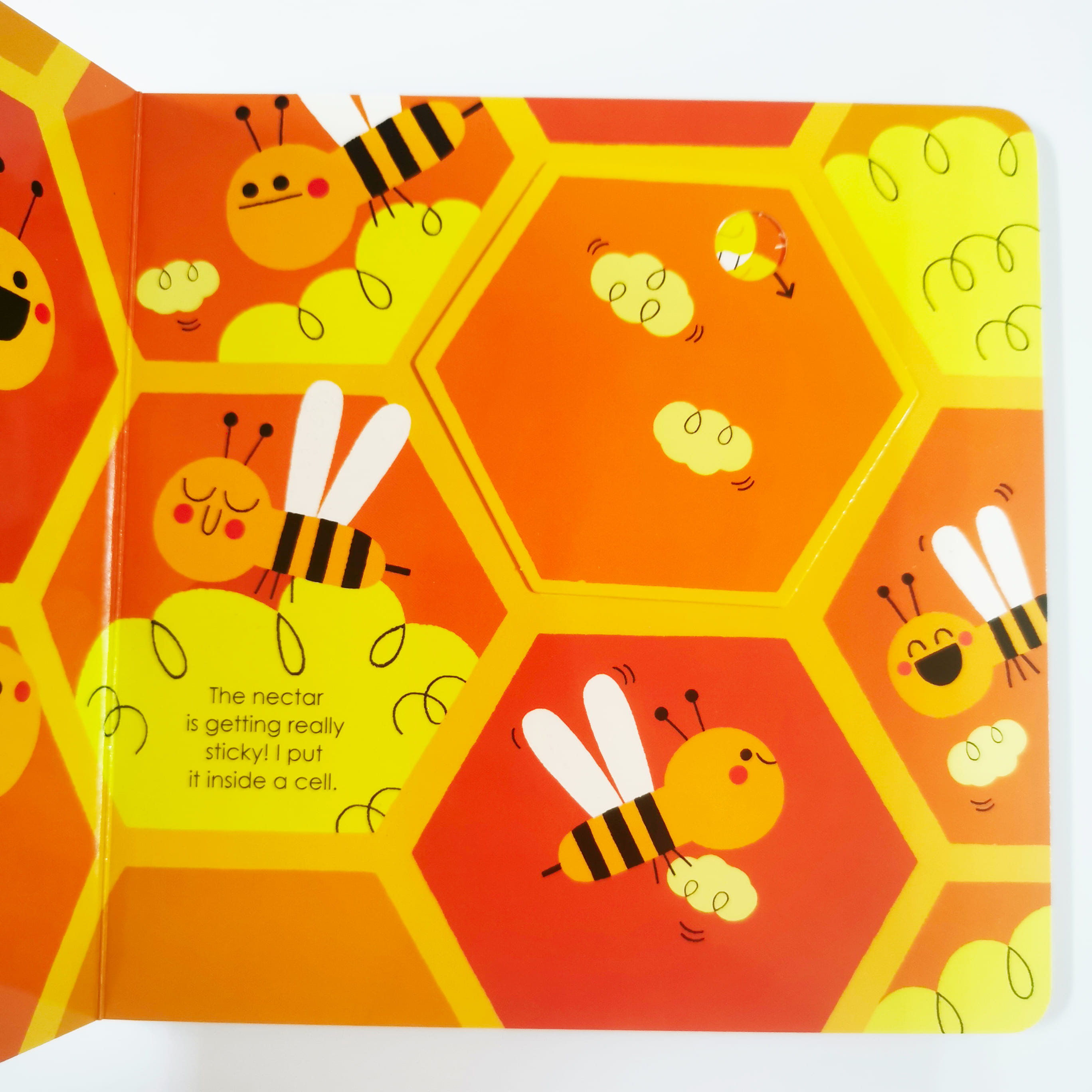 Honeybee (My Little Green World)