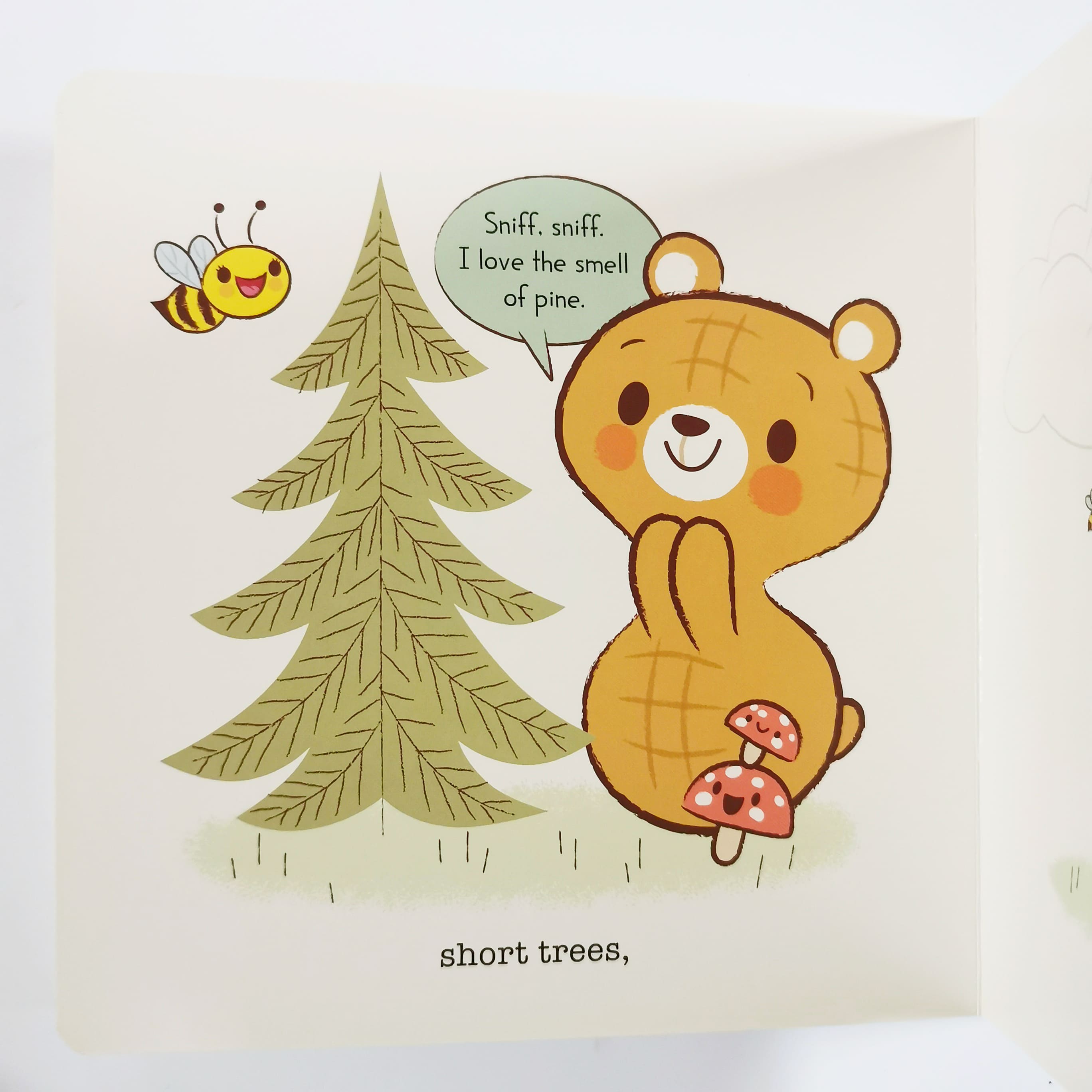Peanut Bear: What's in the Forest?