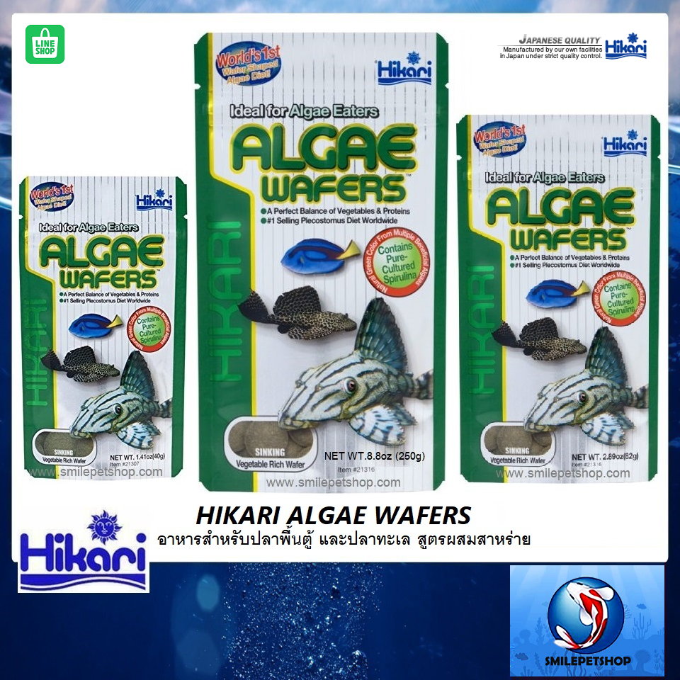 Hikari Algae Wafers (อาหารสำหรับปลาพื้นตู้ และปลาทะเล สูตรผสมสาหร่าย) สำเนา