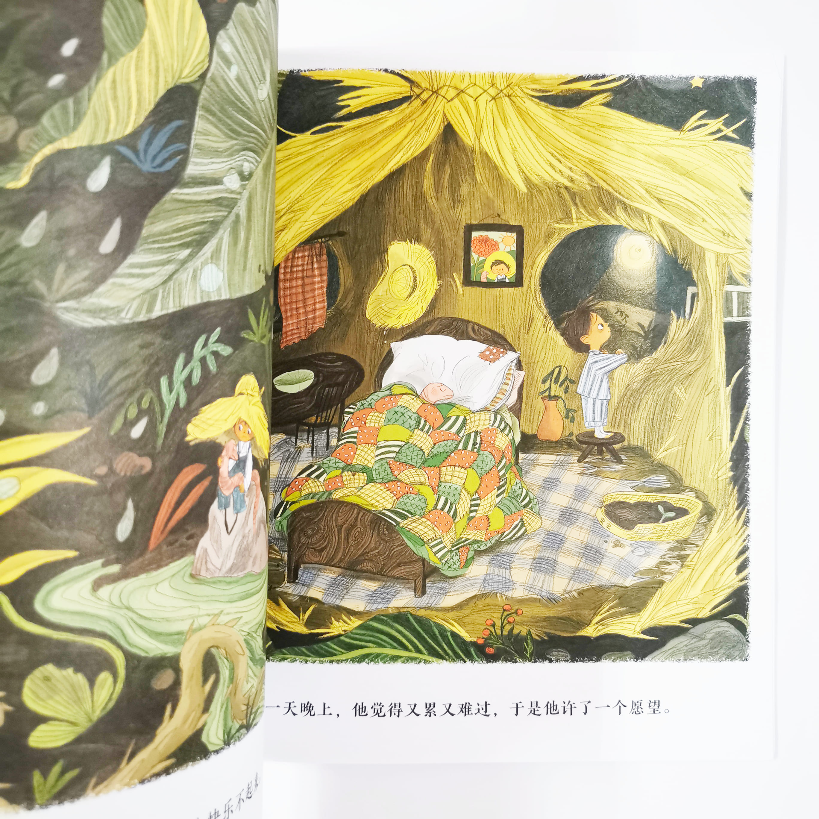 小园丁 The Little Gardener