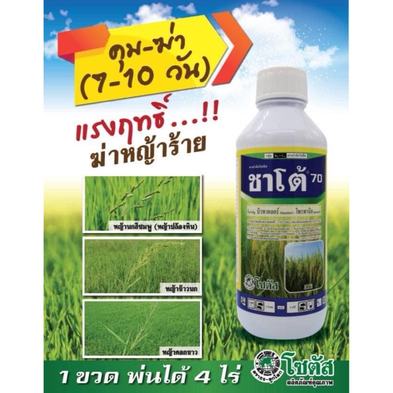 ชาโต้70 - บิวทาคลอร์ 35% + โพรพานิล 35%EC สารป้องกันกำจัดวัชพืชหลังงอกประเภทใบแคบ ใบกว้าง และกก