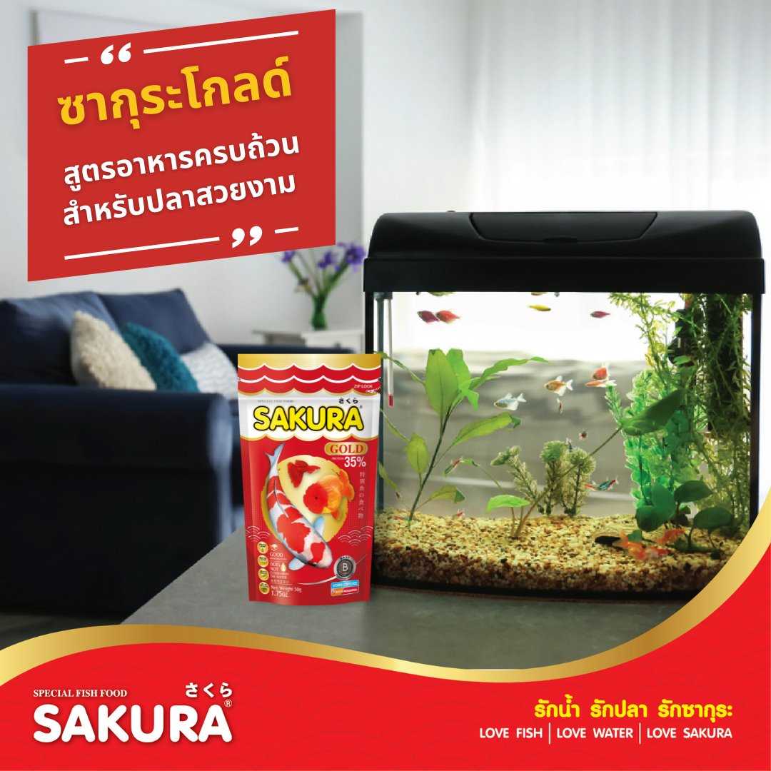SAKURA GOLD 1kg (อาหารปลาสวยงาม สูตรใหม่ เม็ด 3 สี สูตร เร่งสี เร่งโต น้ำไม่ขุ่น)