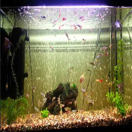 หัวทรายสายยาง JENECA (หัวทรายแบบยาง สามารถดัดรูปทรงได้ ใช้ตกแต่งตู้ปลาให้สวยงามขึ้นได้)