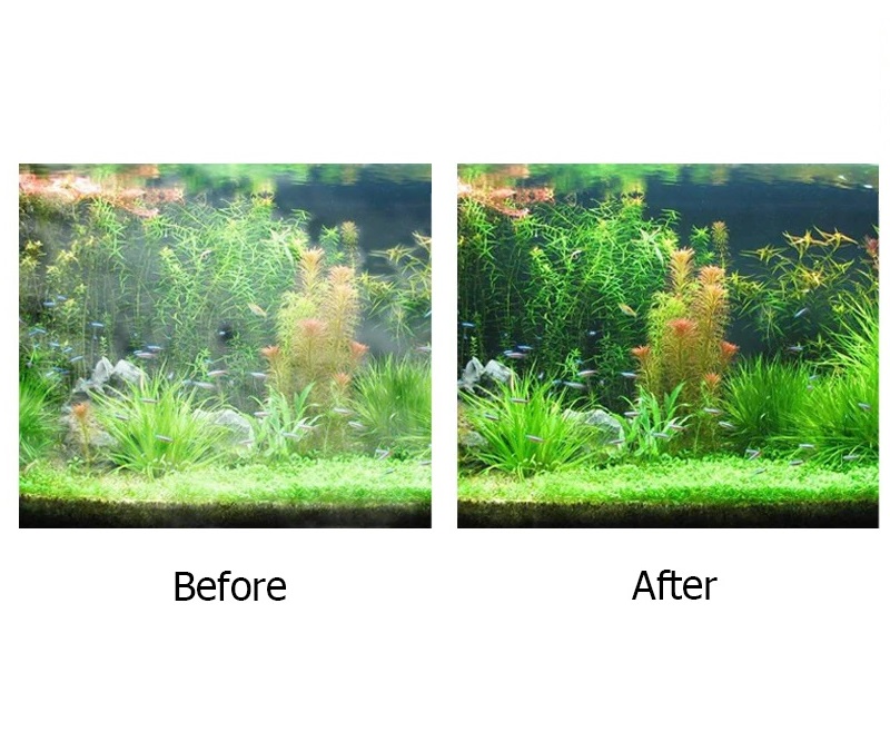 MONITOR (น้ำยาปรับสภาพน้ำใส สูตรเข้มข้น เห็นผลไว น้ำใสขึ้น มองปลาชัดเจน เพิ่มความสวยให้กับตู้ ไม่มีอันตรายกับปลา)