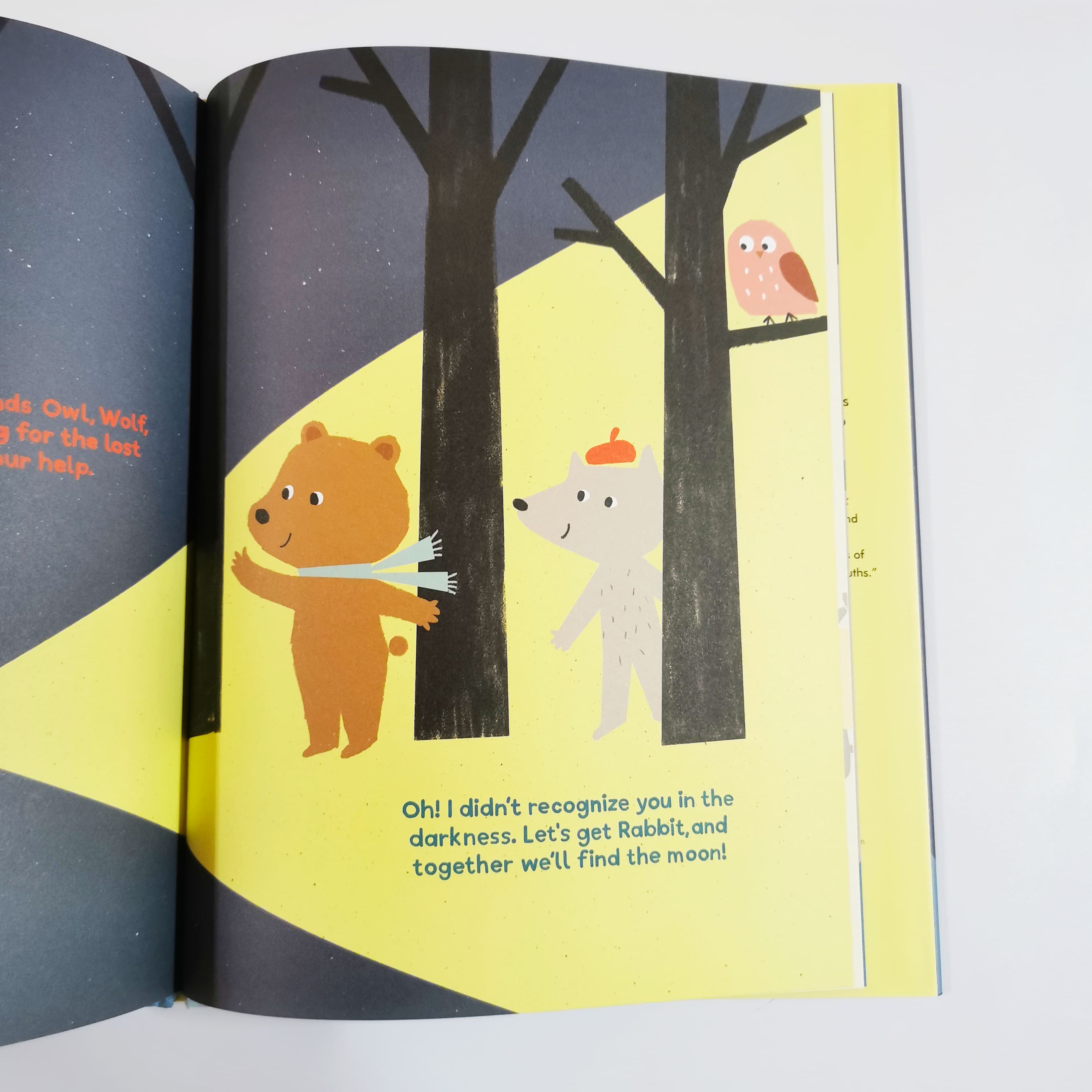 Little Fox and the Missing Moon