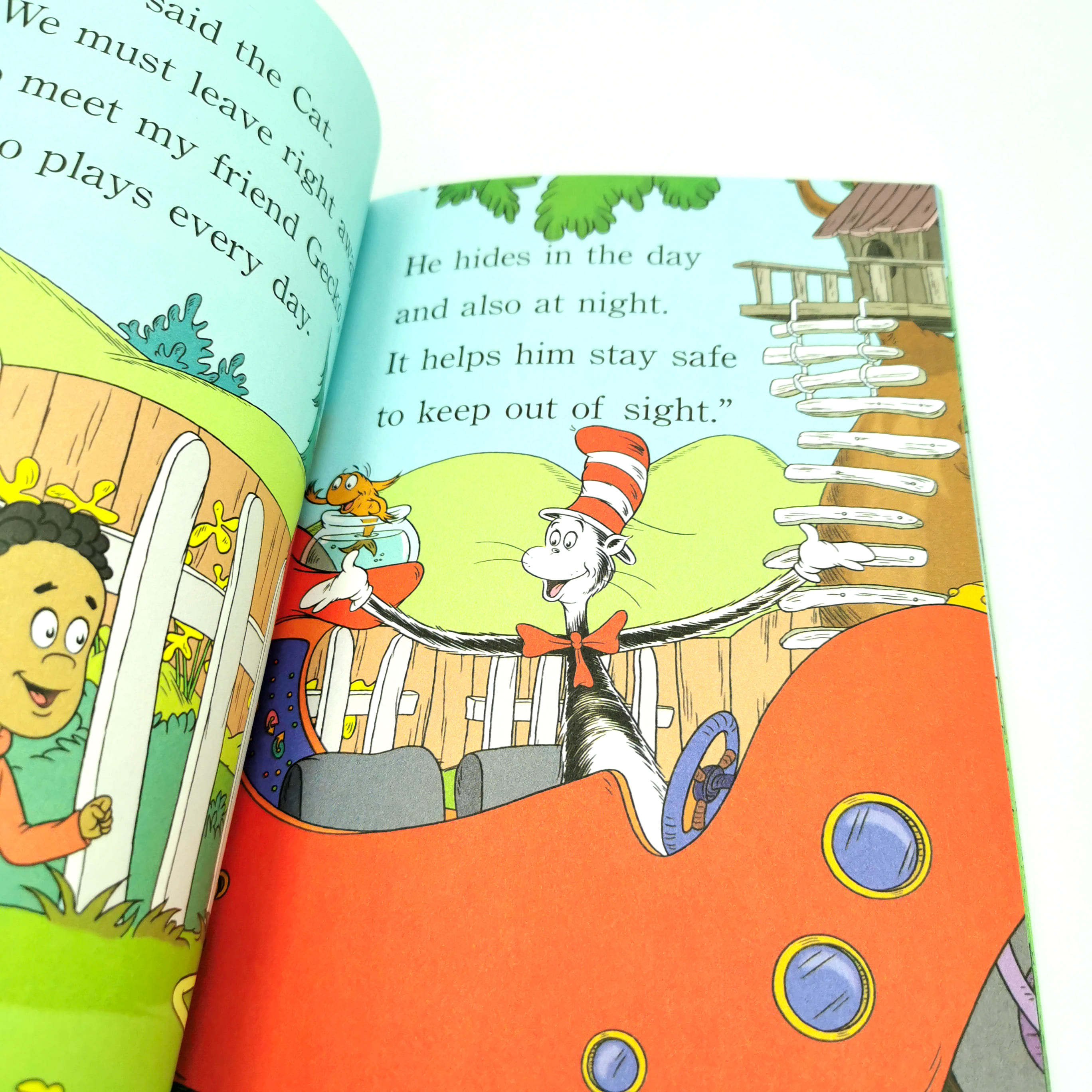 Now You See Me… (Dr.Seuss)