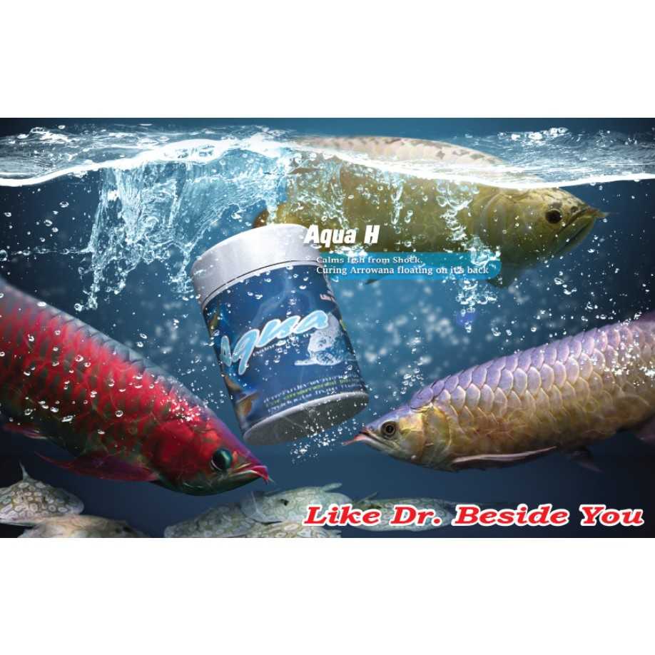 Aqua H 250 g. (สมุนไพรธรรมชาติ สำหรับปลามังกร แก้หลังลอย ลดเครียด ช่วยพักฟื้น ช็อค น็อคน้ำ)