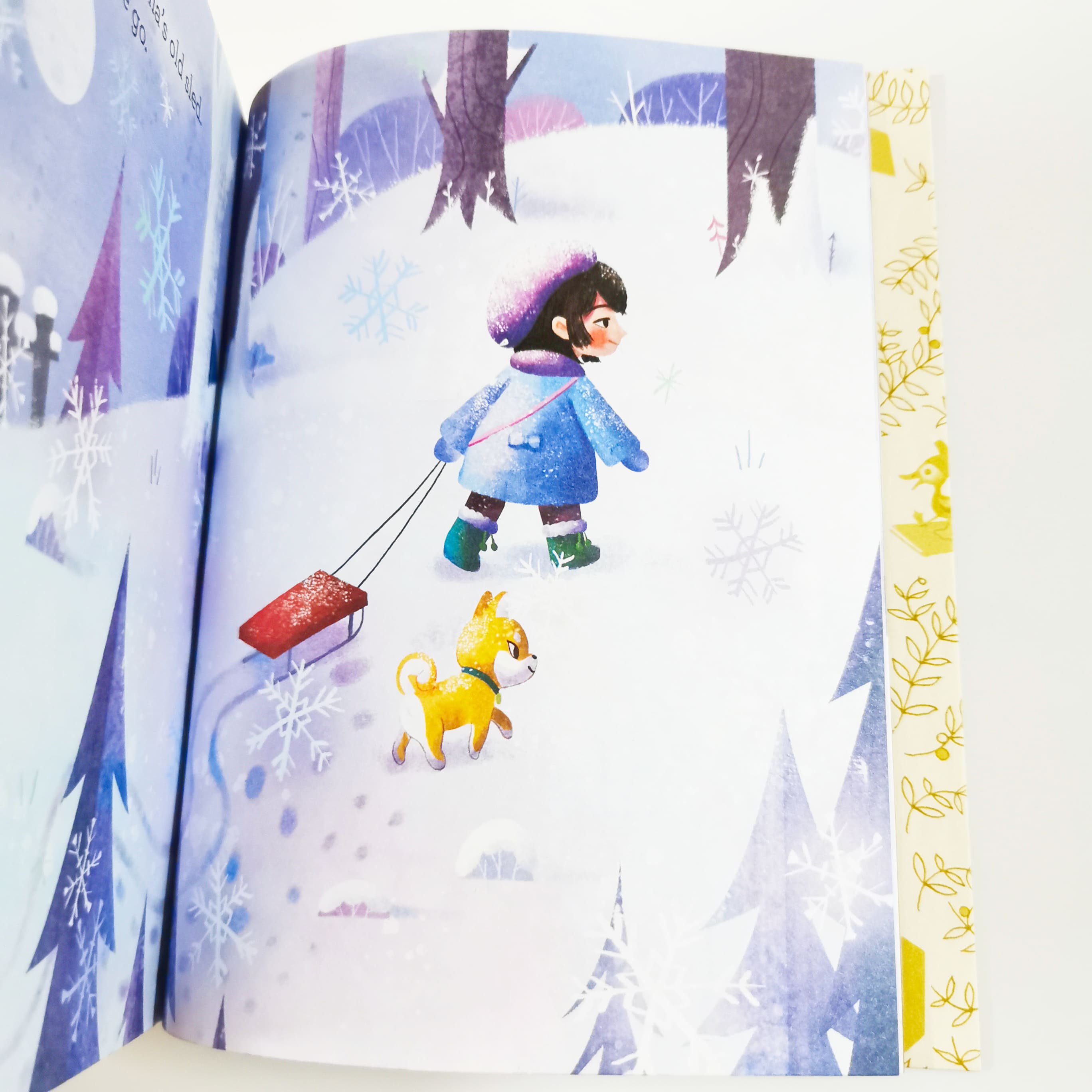 The Colors of Winter (A little golden book)