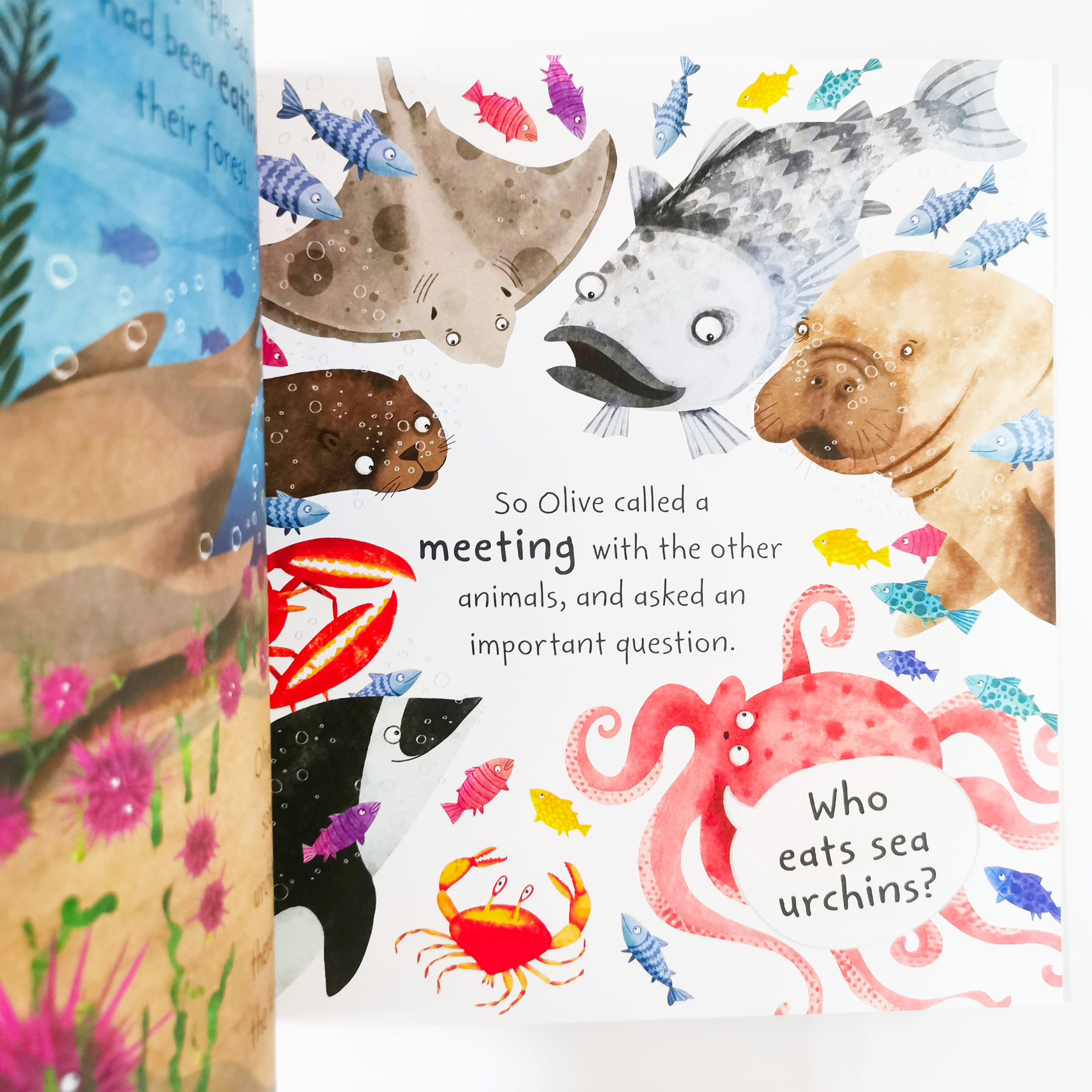 Olive the Octopus (Stories from the Sea)