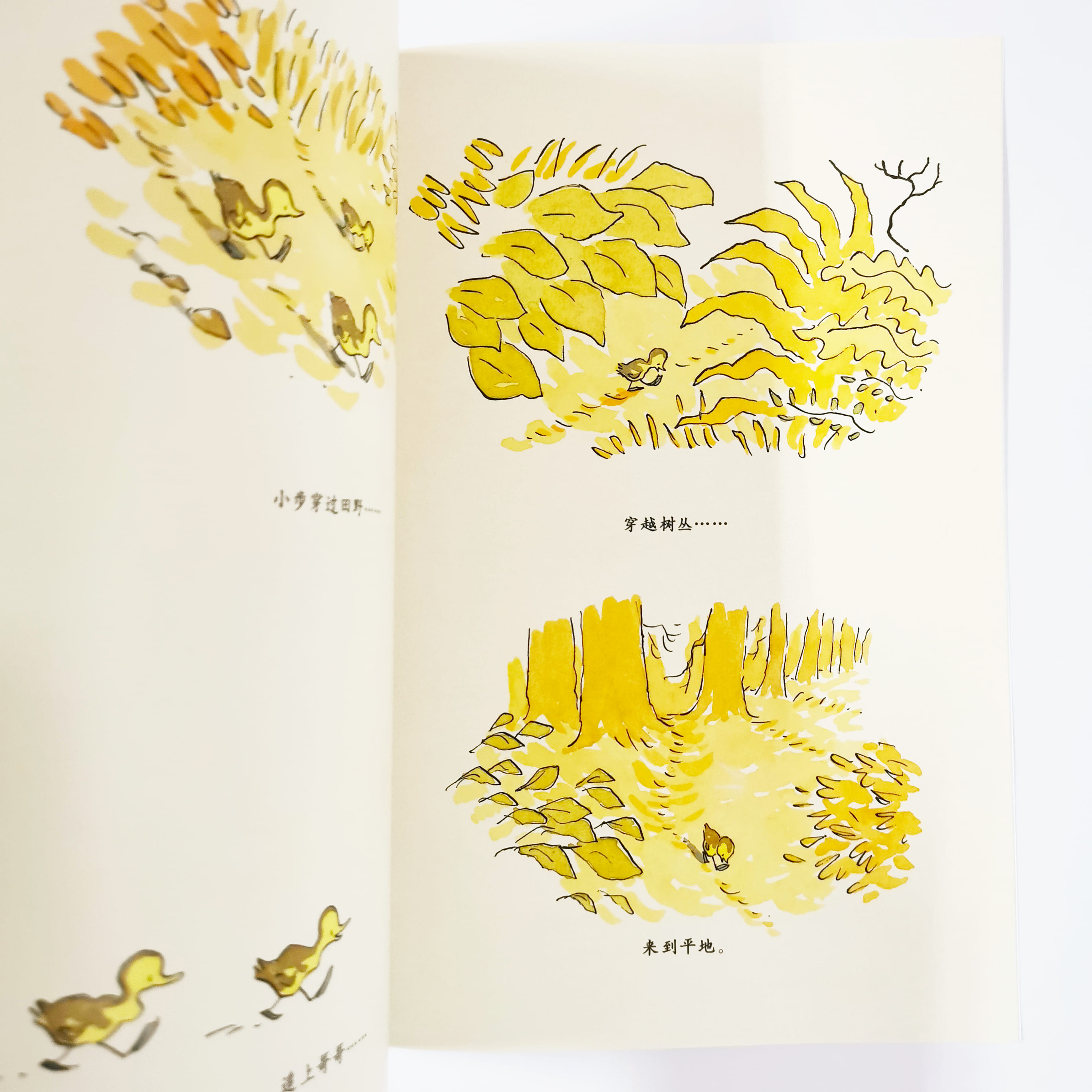 小步走路 Little One Step