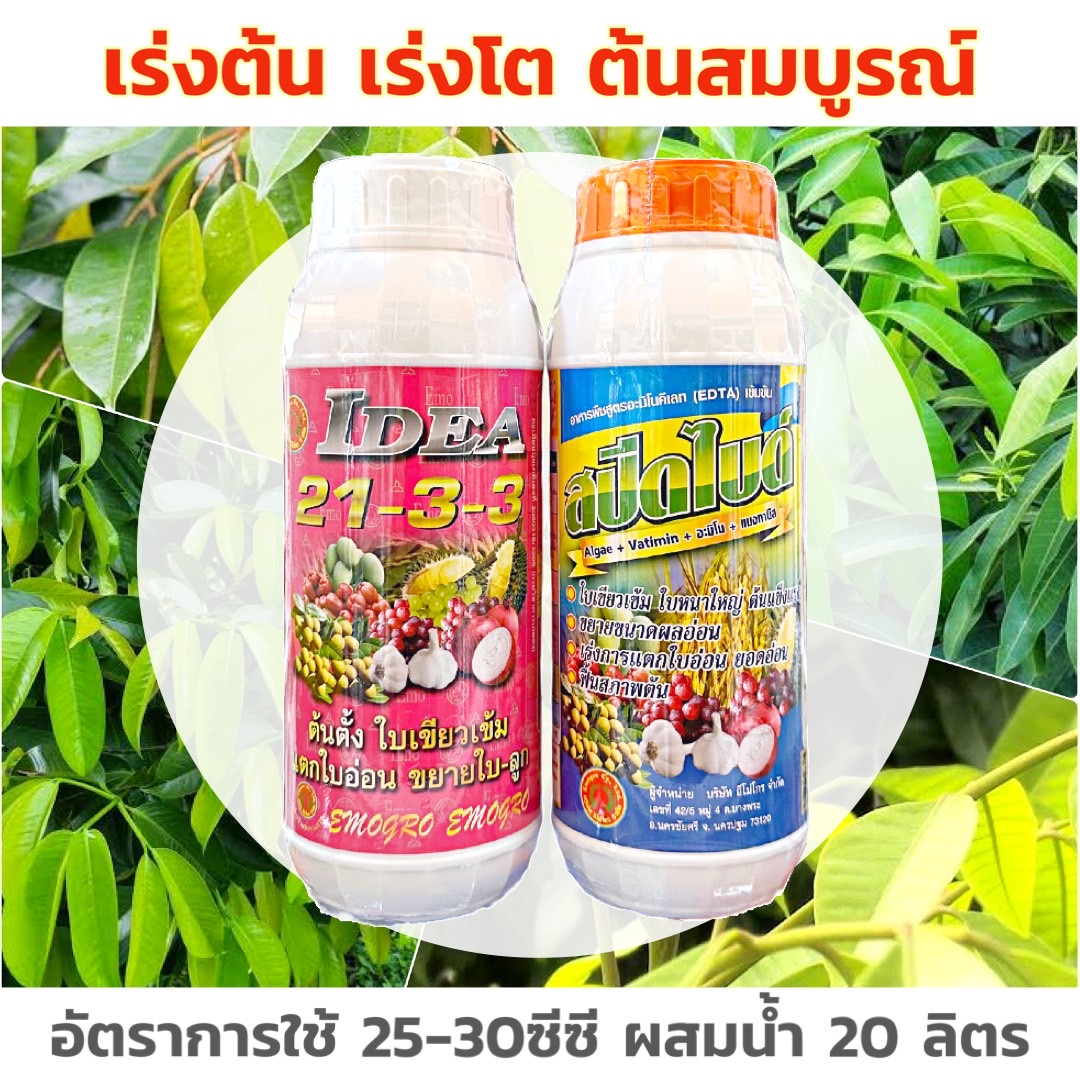 ชุดเร่งต้น เร่งโต ต้นสมบูรณ์ 21-3-3 + สปีดไบด์ ช่วยในการเร่งต้น เร่งโตทำไห้ต้นสมบูรณ์แข็งแรง