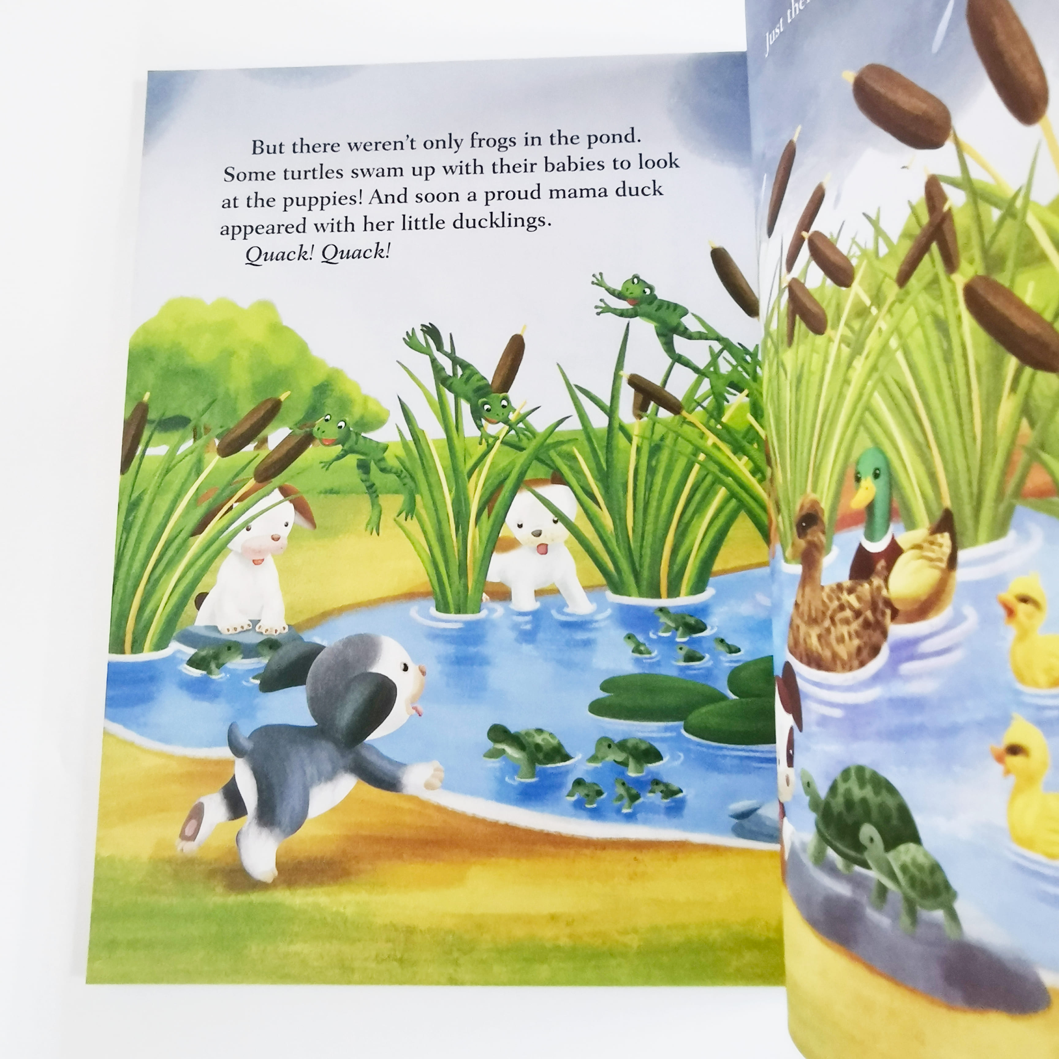 The Poky Little Puppy's Special Spring Day (LGB)