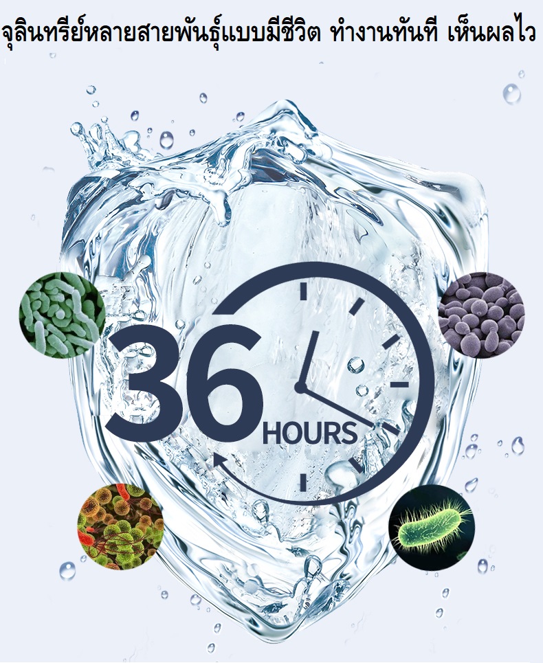 YEE LIQUID STATE NITRIFIER 650ml.(จุลินทรีย์สดแบบมีชีวิต สลายของเสีย ขี้ปลา ลดปัญหาคุณภาพน้ำ ปกป้องสุขภาพปลา เห็นผลไว)