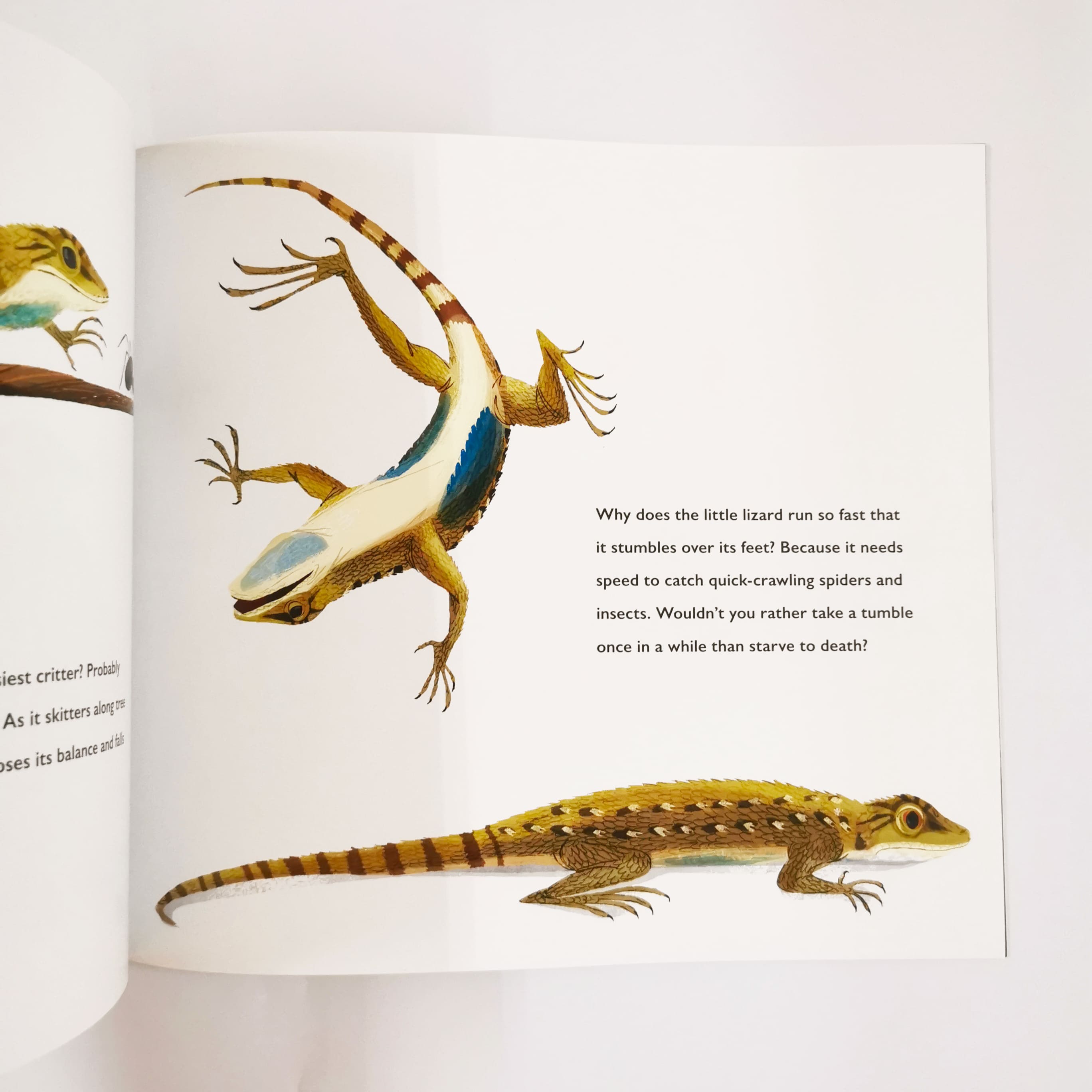 Pipsqueaks, Slowpokes, and Stinkers