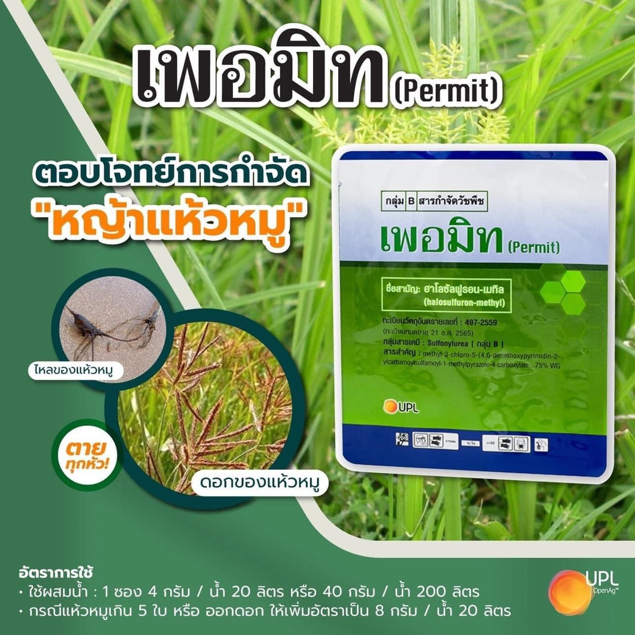 เพอมิท ( Permit ) ขนาด 40 กรัม สารสามัญ:ฮาโลซัลฟูรอน-เมทิล สารกำจัดวัชพืช กำจัดแห้วหมูในนาข้าว,ไร่อ้อย