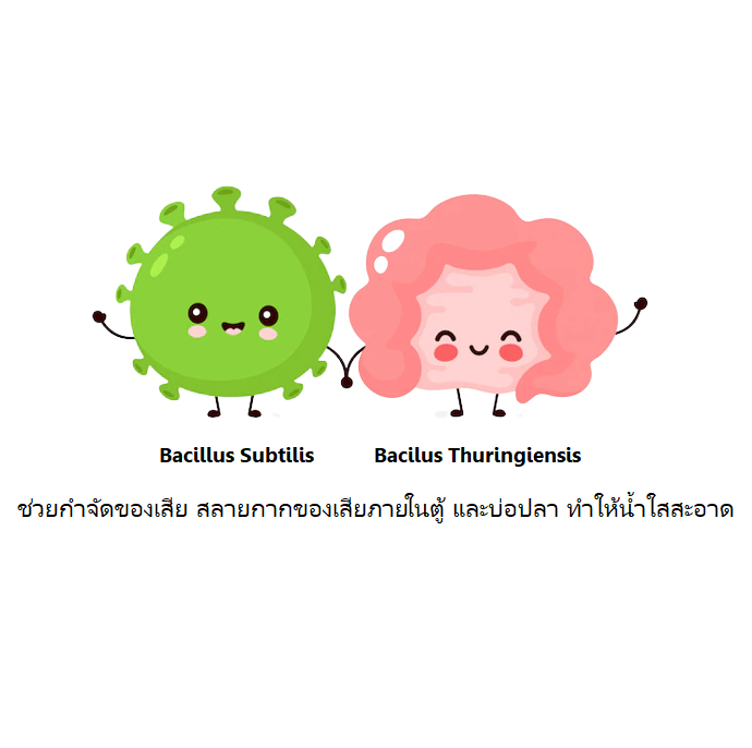 Fish Bac 1 kg.(จุลินทรีย์ สลายของเสีย กำจัดสารพิษ ป้องกันโรค ช่วยทำให้น้ำใสได้ยาวนาน)