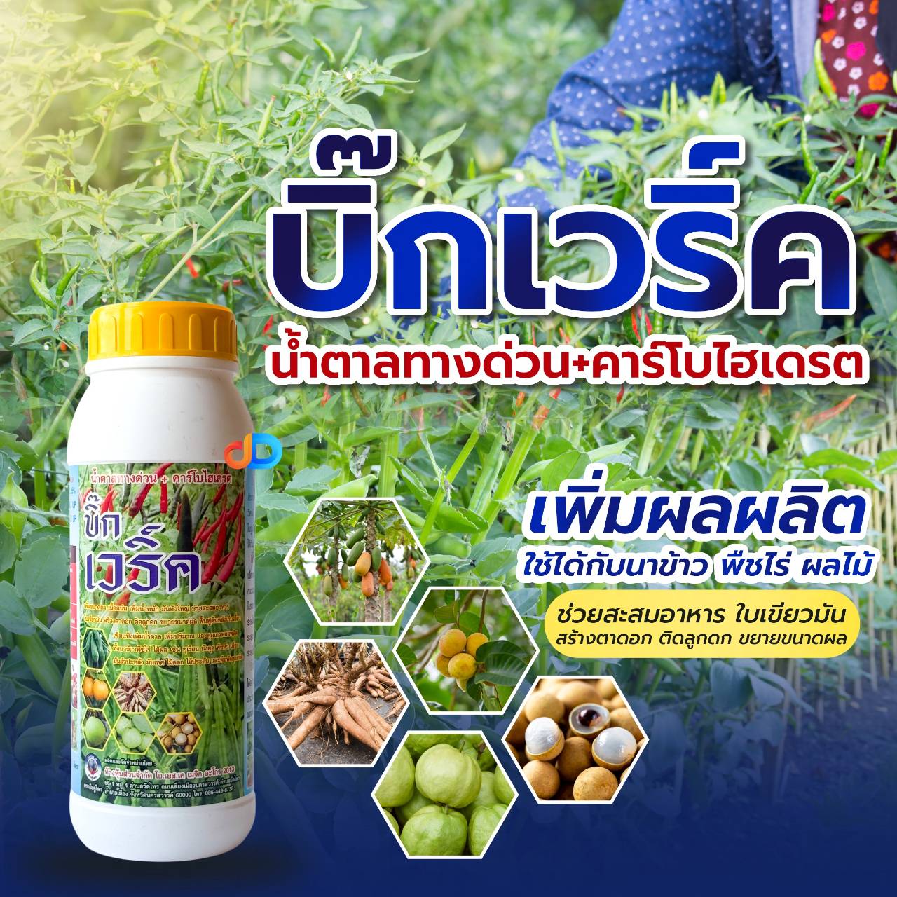 บิ๊กเวริ์ค -1 ลิตร แคลเซียม+โบรอน และธาตุอาหารเสริม ขยายลูก เนื้อแน่น เร่งสี