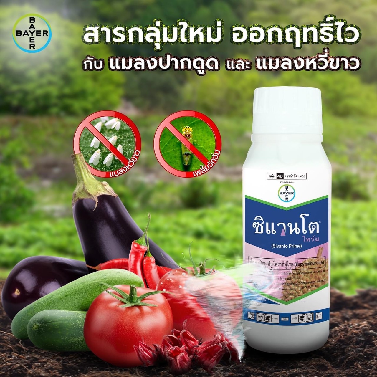 ซิแวนโต ไพร์ม ขนาด 500 ซีซี ออกฤทธิ์ไว กับแมลงปากดูด และแมลงหวี่ขาว