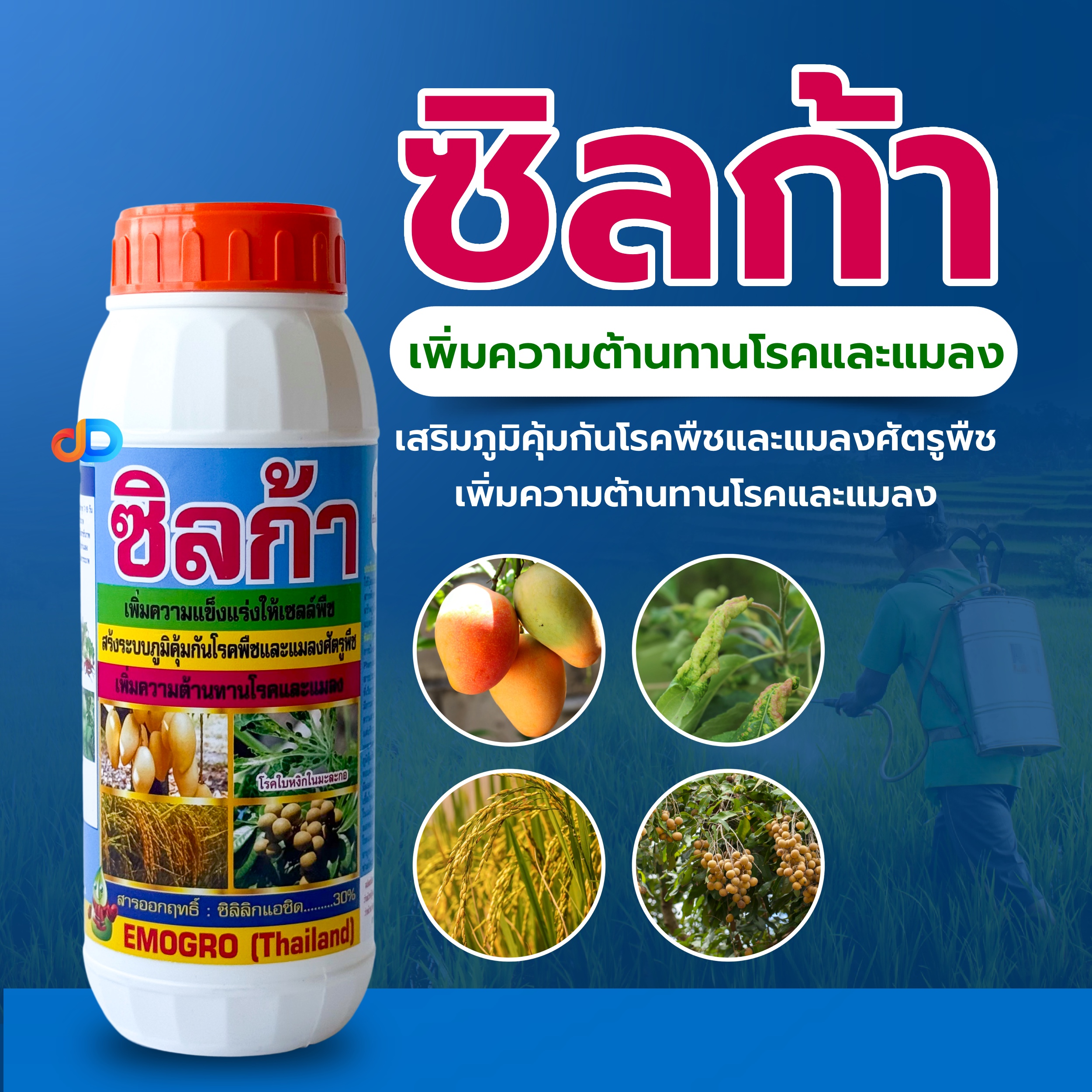 ซิลก้า ขนาด 1 ลิตร สารซิลิก้า หรือ ซิลกอน ช่วยให้ผนังเซลล์มีความแข็งแรง จึงช่วยสร้างภมูิต้านทานแมลง โรค ได้ดีขึ้น ป้องกันการเข้าทำลาย และกัดกินเซลล์พืชโดยตรง