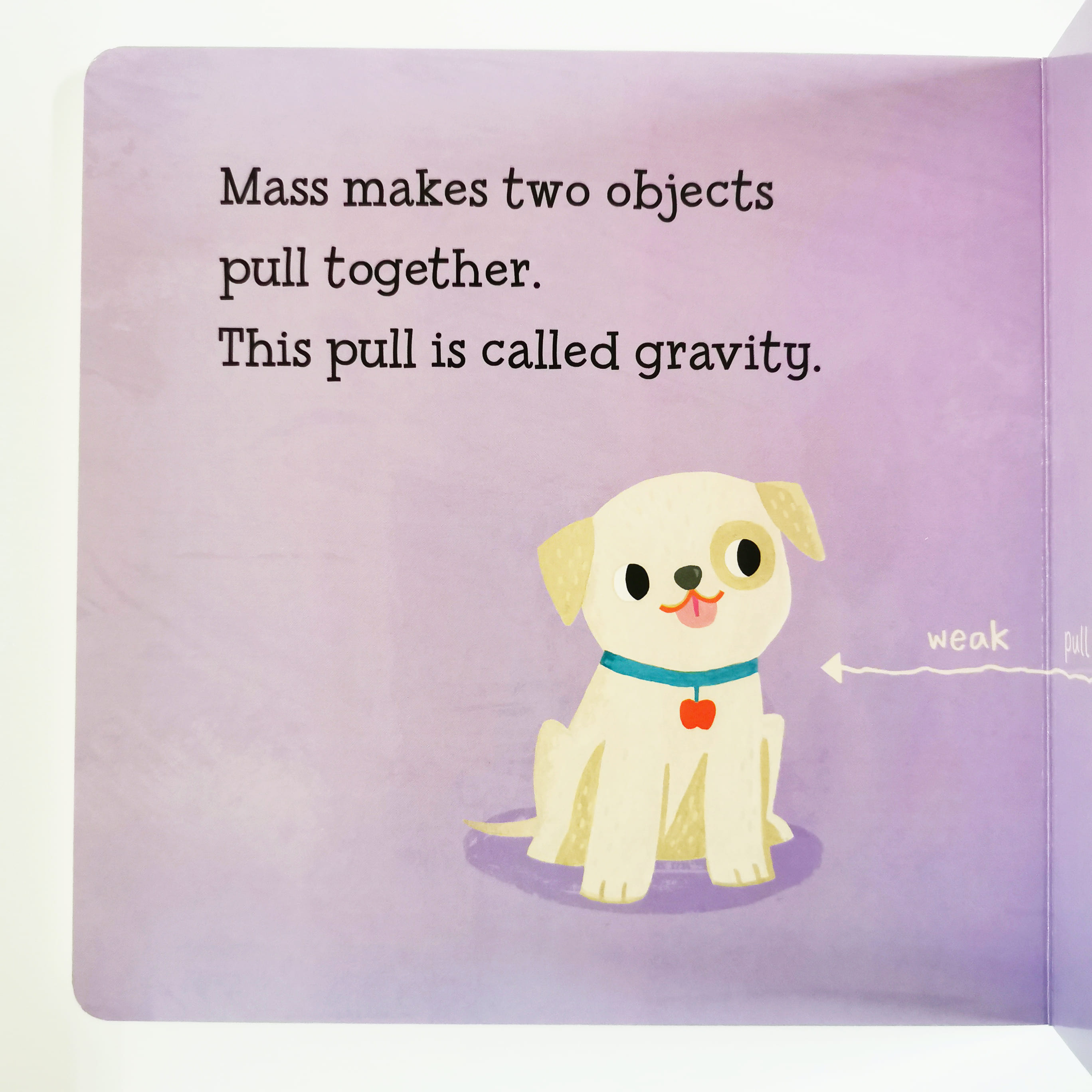 Baby Loves Gravity! (Baby Loves Science)