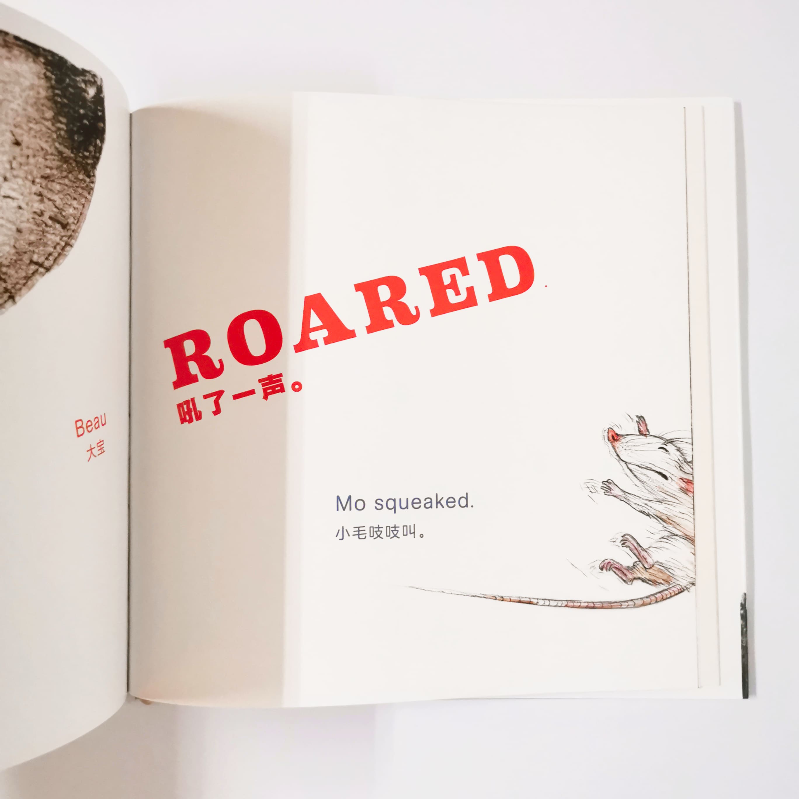 Mo and Beau 小毛和大宝