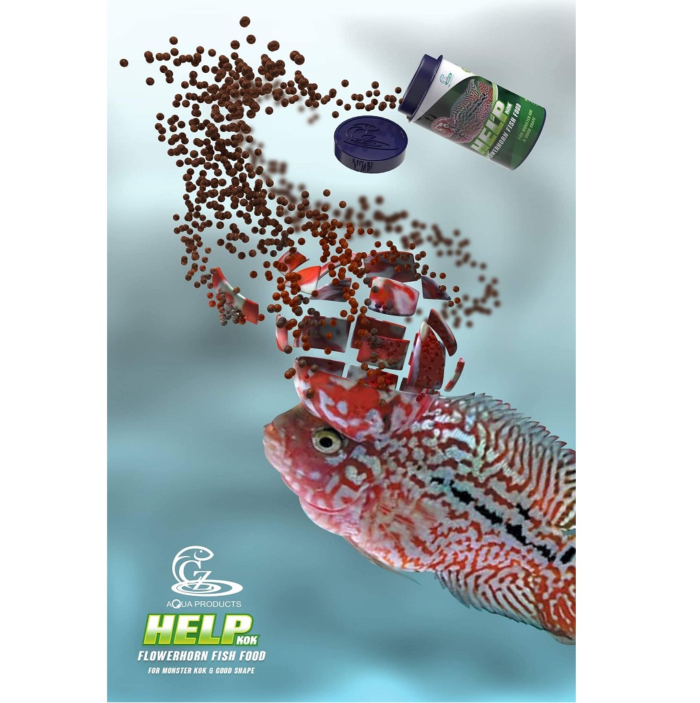 HELP KOK FLOWERHORN FISH FOOD 100 g.(อาหารปลาหมอสีสูตรเร่งโหนก และรูปทรง โปรตีนสูง เร่งโหนกไว)