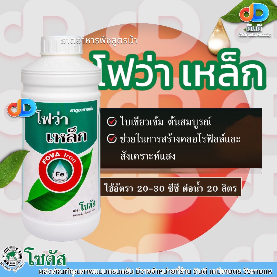 โฟว่า เหล็ก ช่วยในการสร้างคลอโรฟิลล์ และสังเคราะห์แสง ใบเขียวเข้ม ต้นสมบูรณ์ ตราโซตัส ขนาด 1 ลิตร